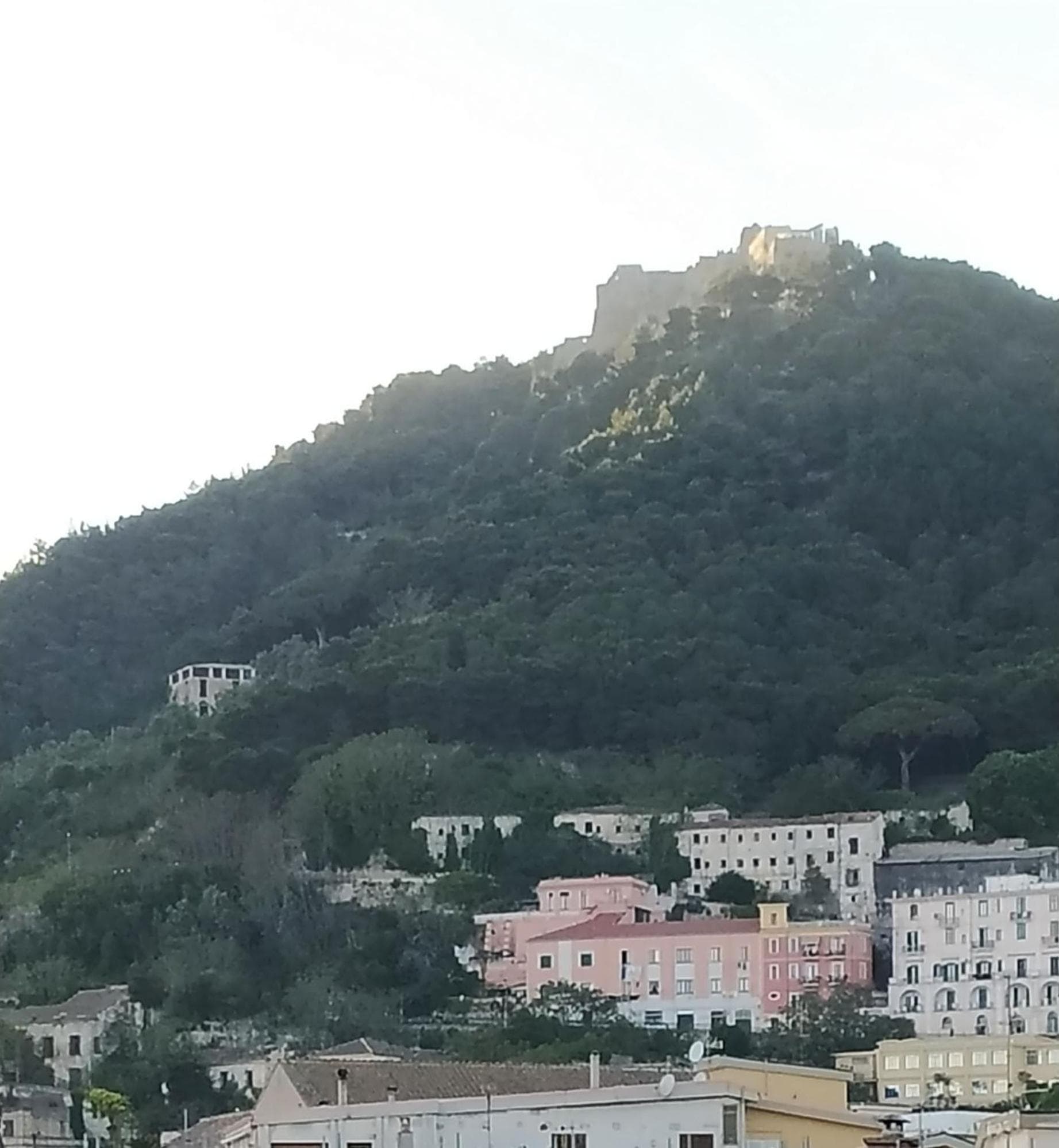 viatorretta4