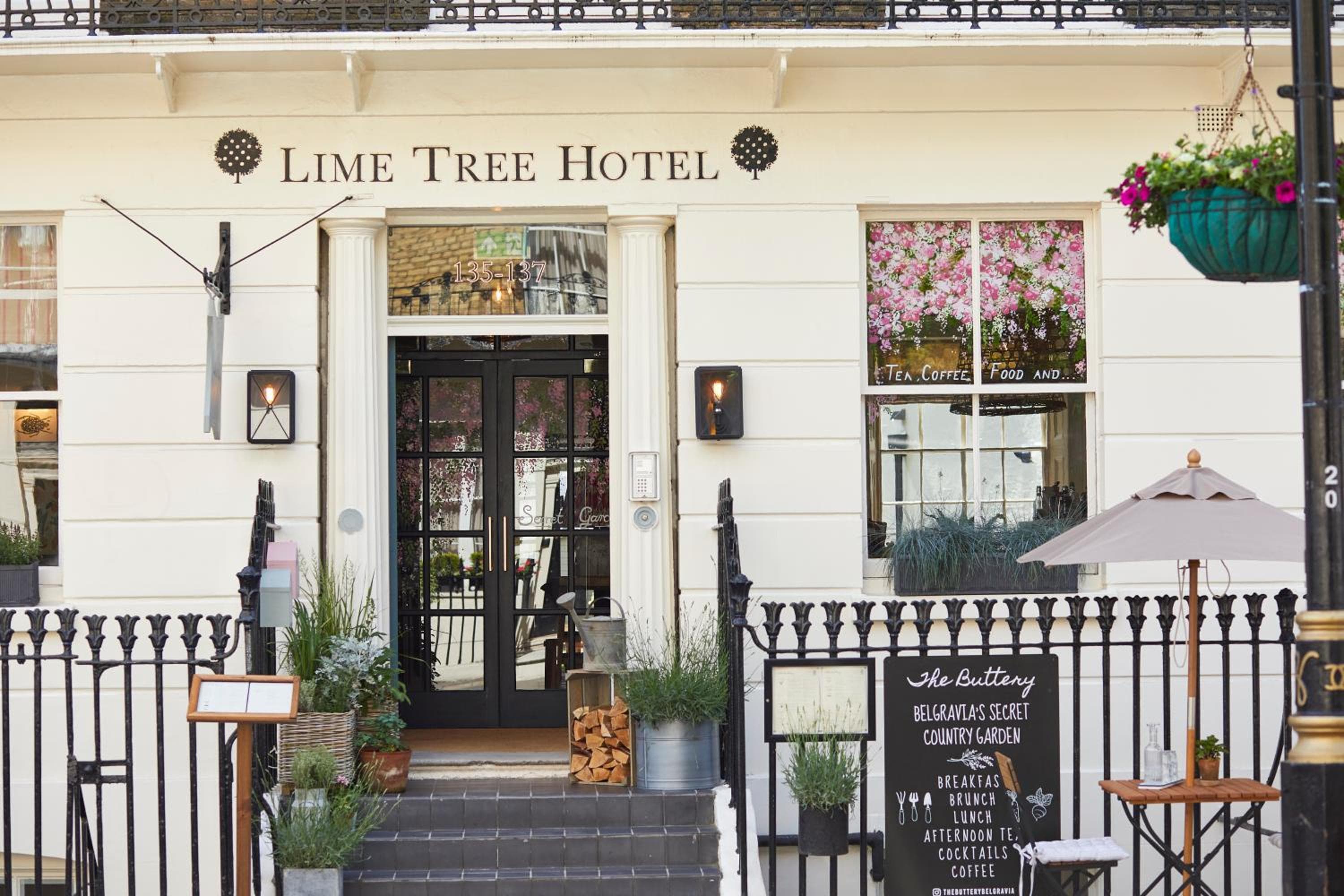 Room Mate Lime Tree