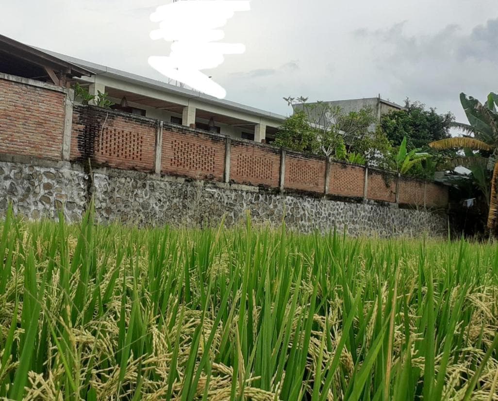 Surya Lombok Accommodation
