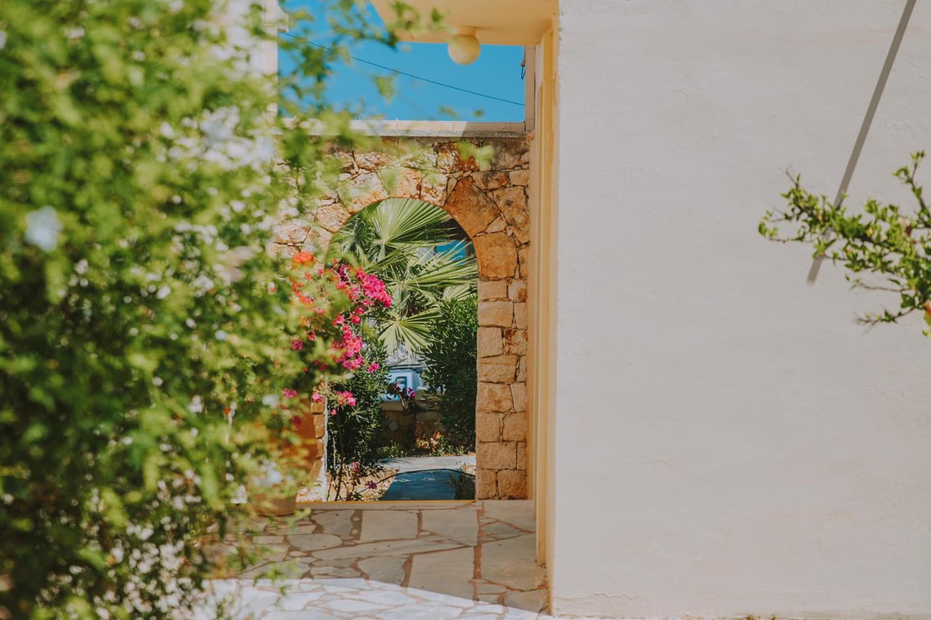 Creta Vitalis