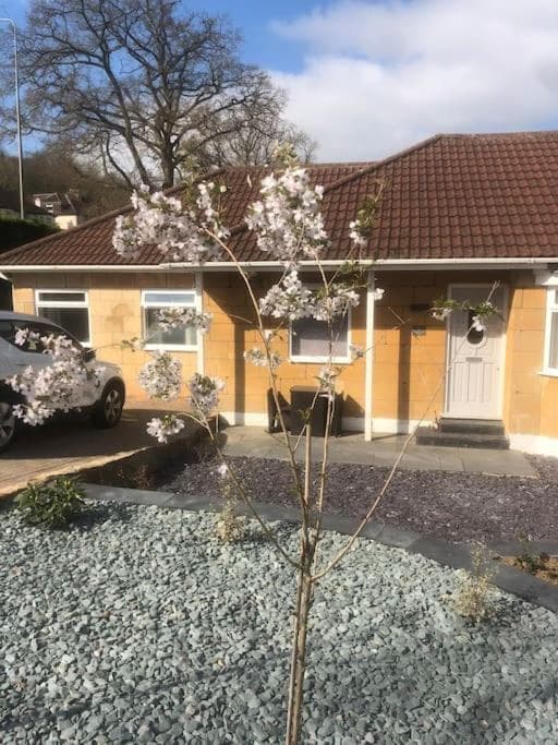 Cosy Flat, close to Bath Rugby and City Centre