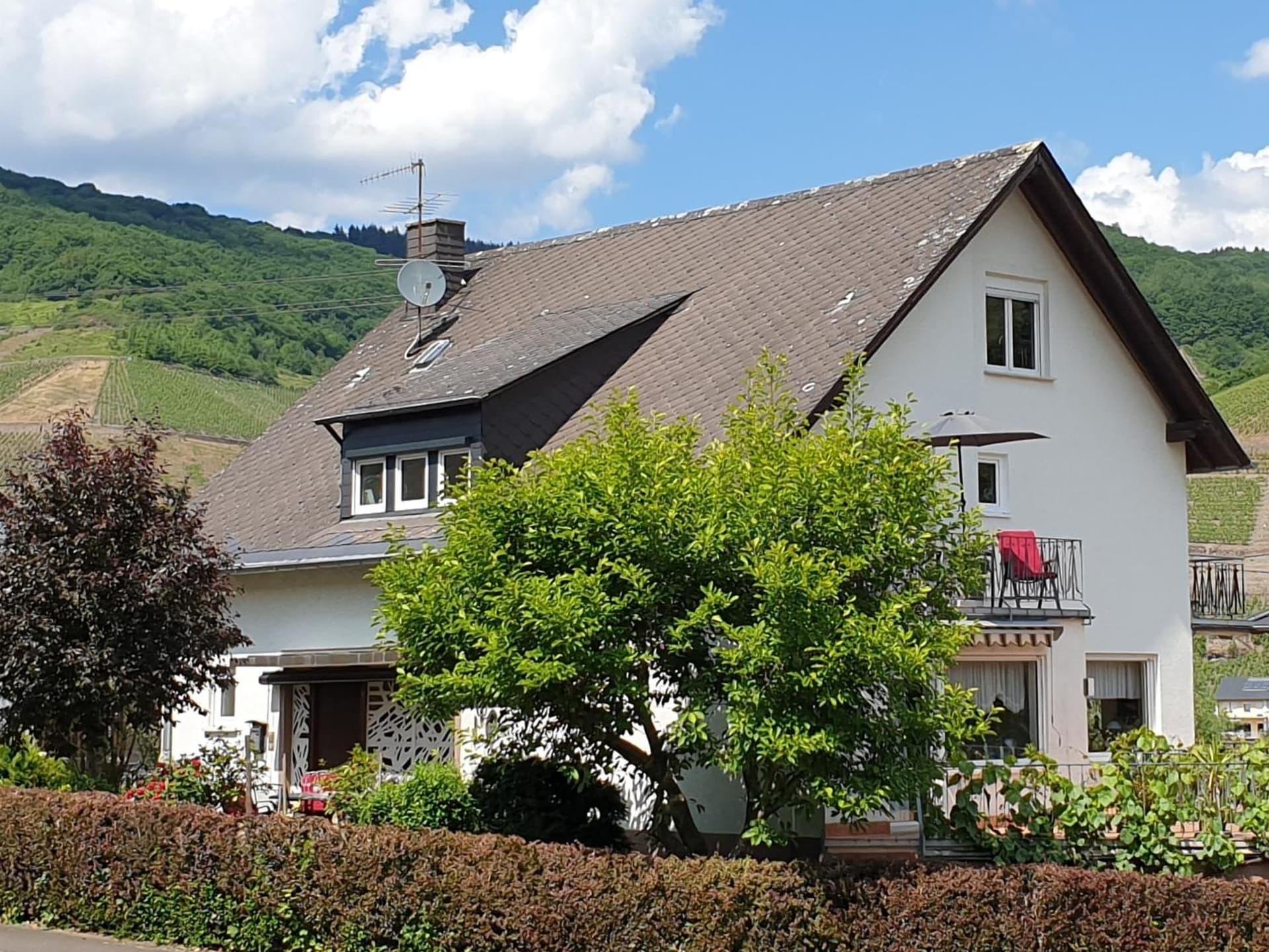Schorn³ Appartements