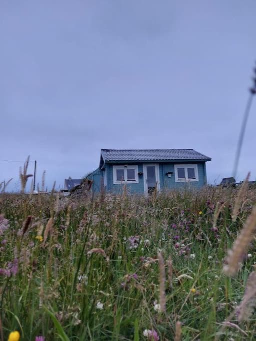 Seafield Cabin