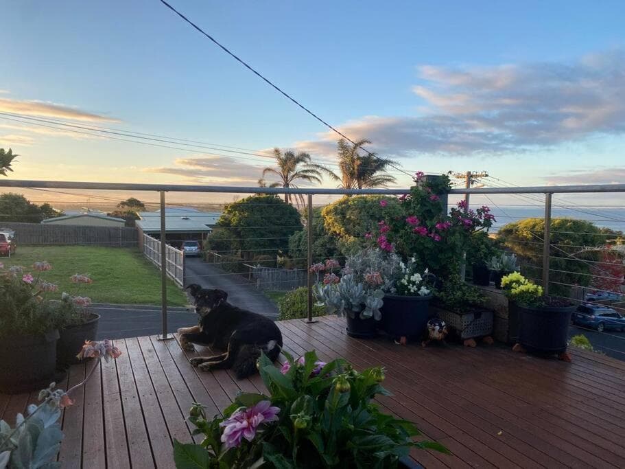 Salty Paws Dog Friendly Luxe Cottage