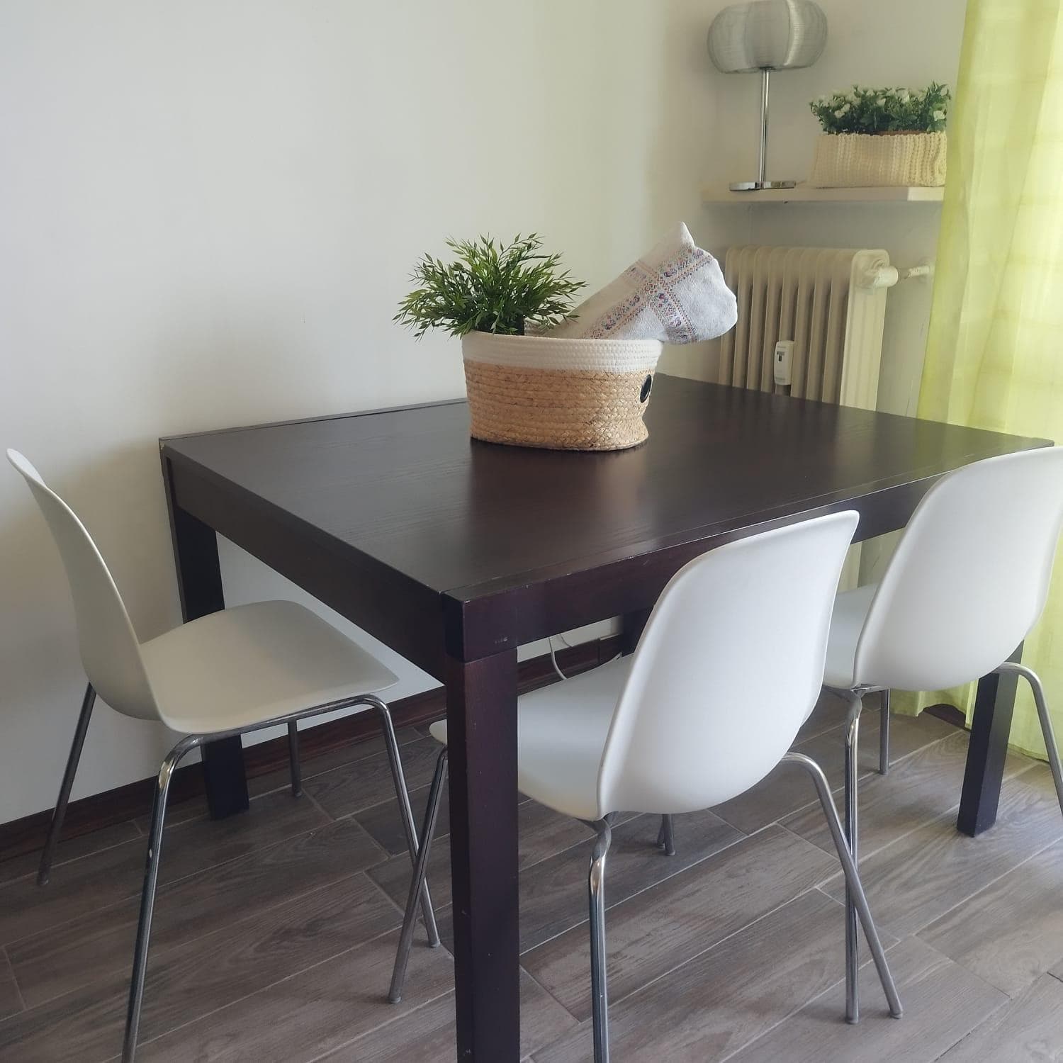 Mini apartment close to everything you will need
