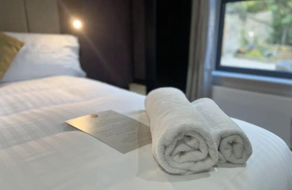 Lydiard Park Hotel 3