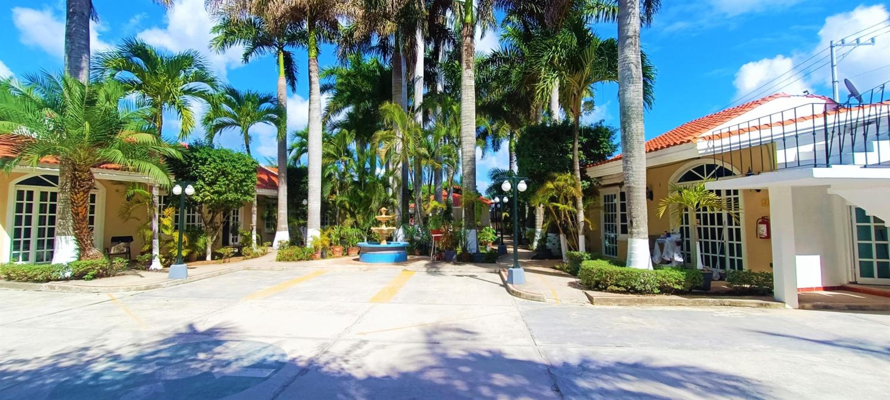 Tulipanes Cancun