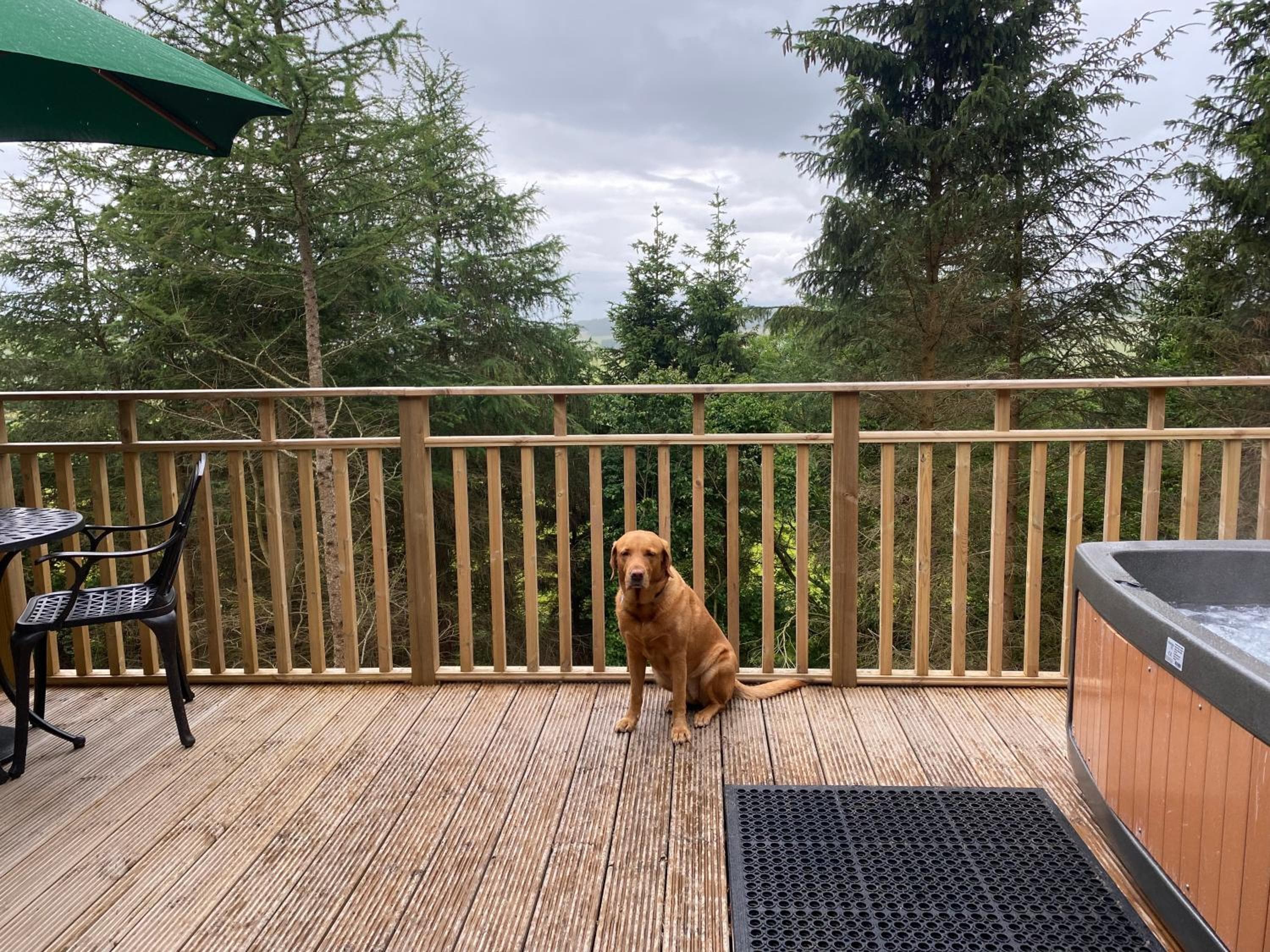 Conker Lodge with Hot Tub