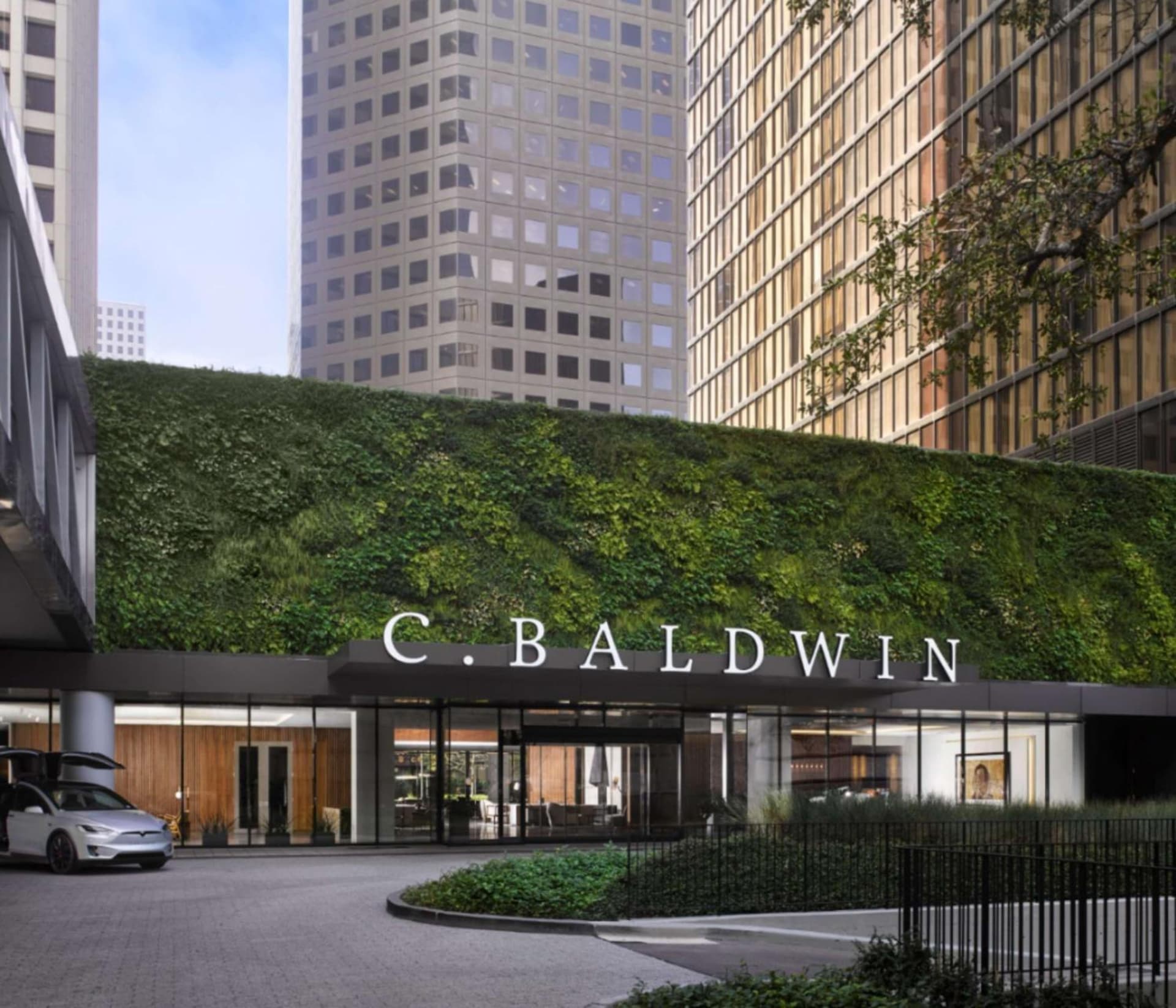 C. Baldwin, Curio Collection by Hilton 3