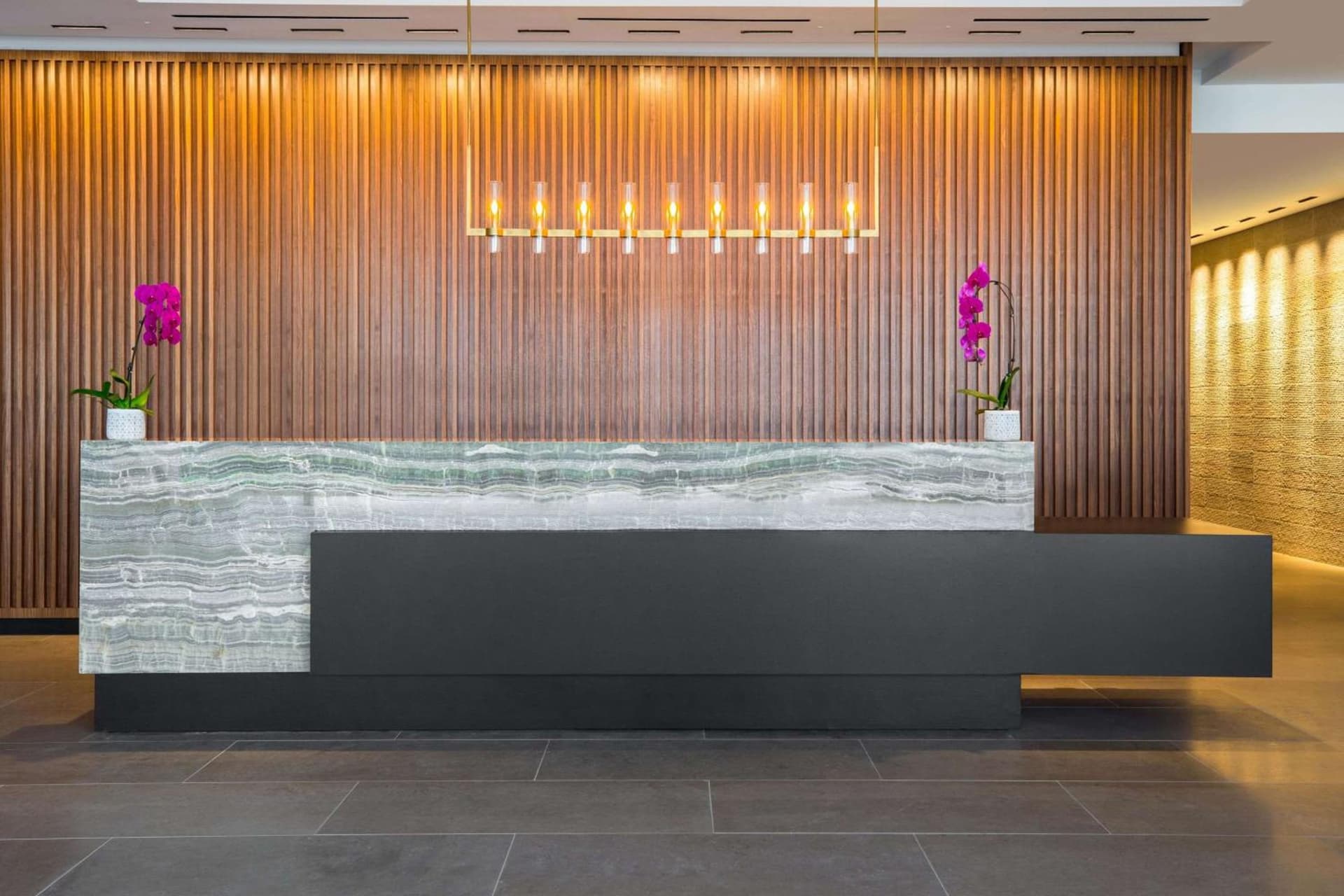 C. Baldwin, Curio Collection by Hilton 5