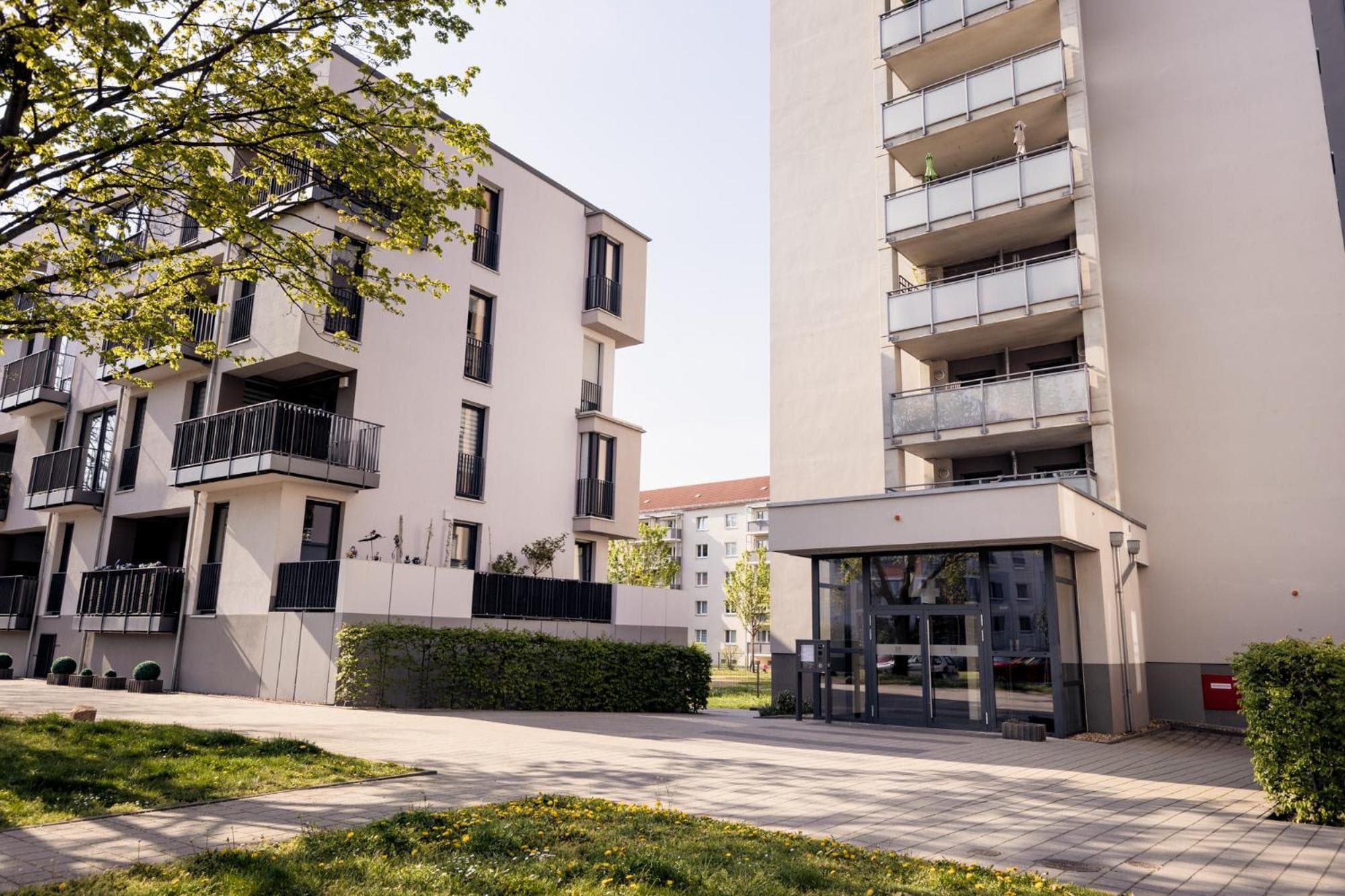 PINEAPPLE APARTMENTS - Zwinger IX - 80qm - 1x free parking