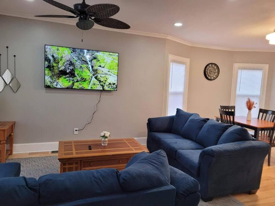 Brand new house in downtown with parking