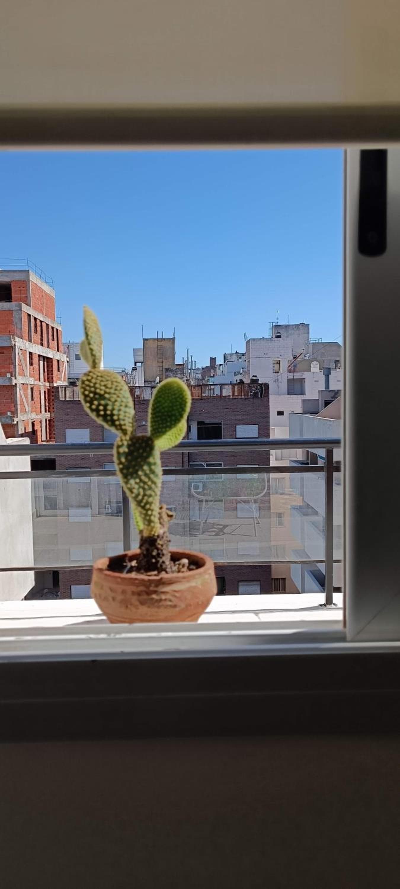 La lunita 1