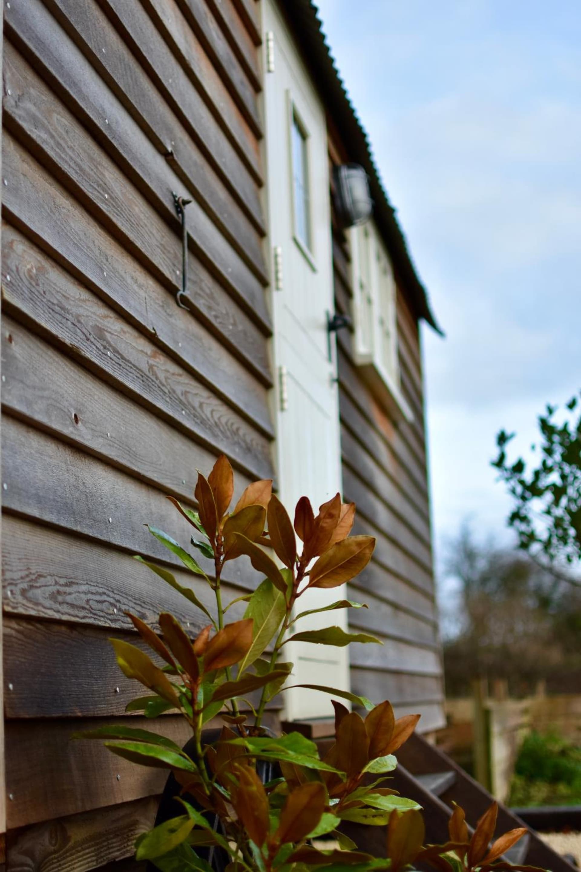 The Deer Hut