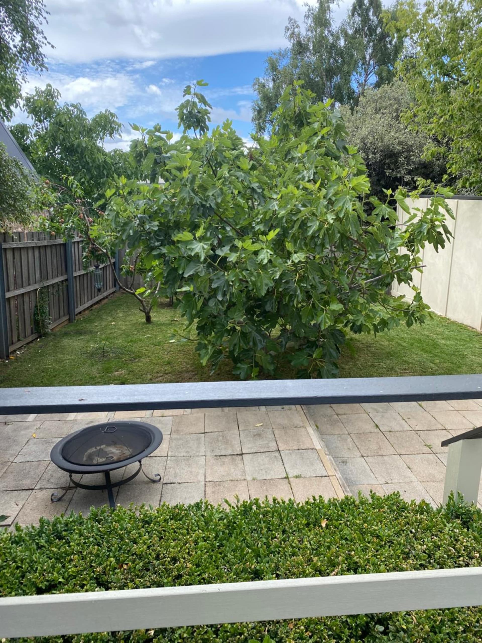 Writer's Cottage, luxurious oasis in the heart of North Hobart