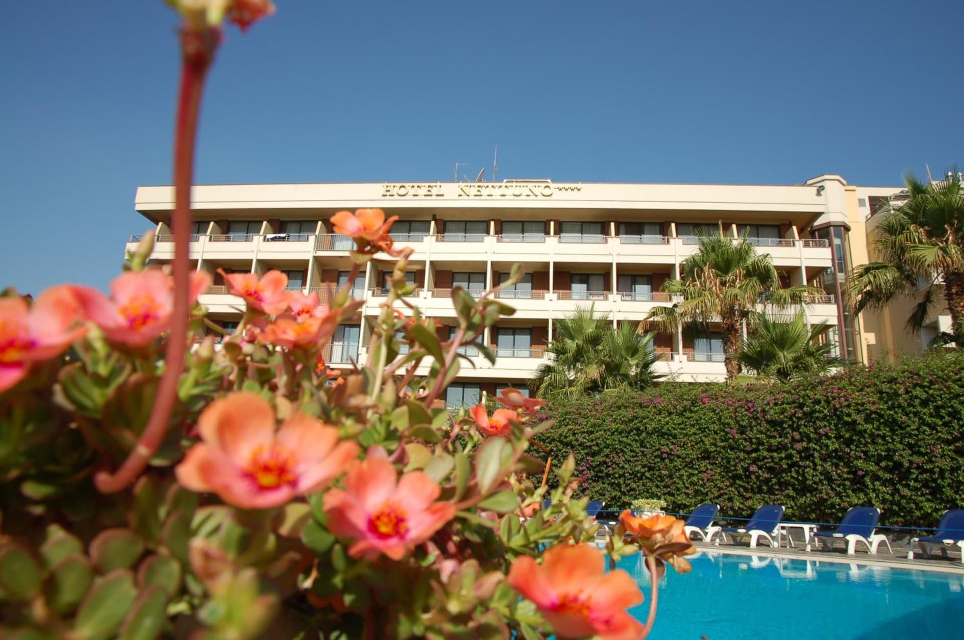 Hotel Nettuno