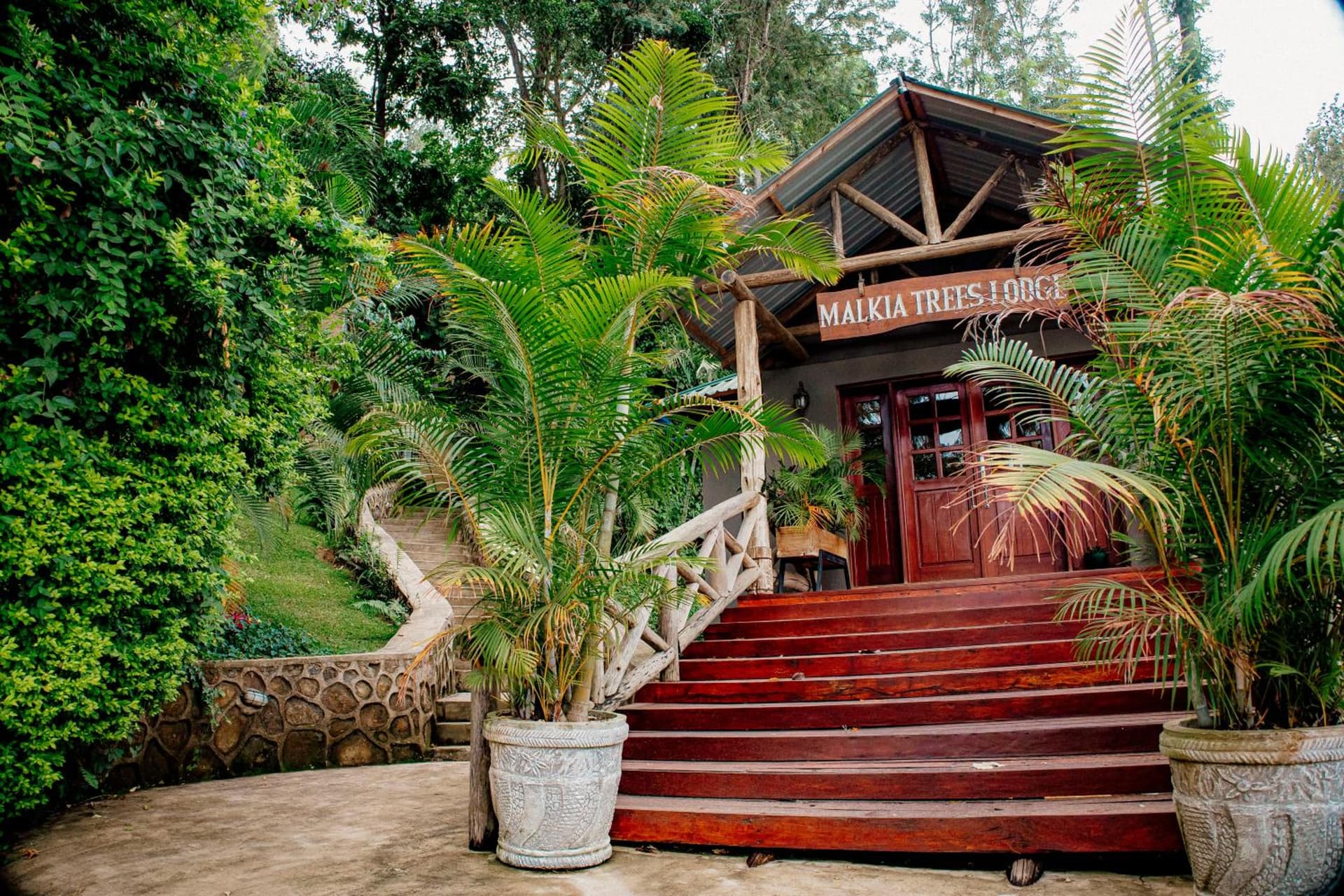 Malkia Trees Lodge