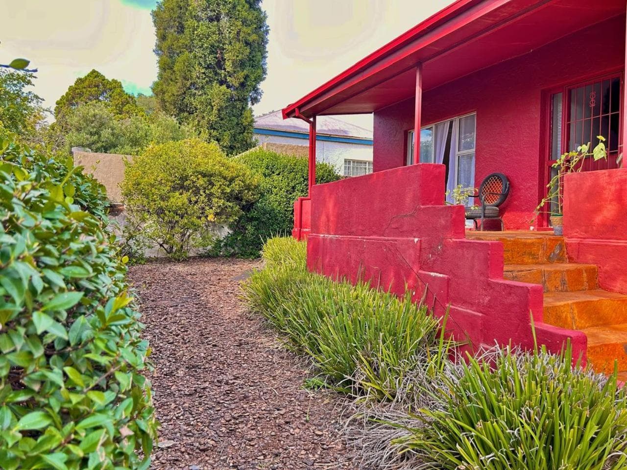 A Botanical Haven in Melville, Johannesburg