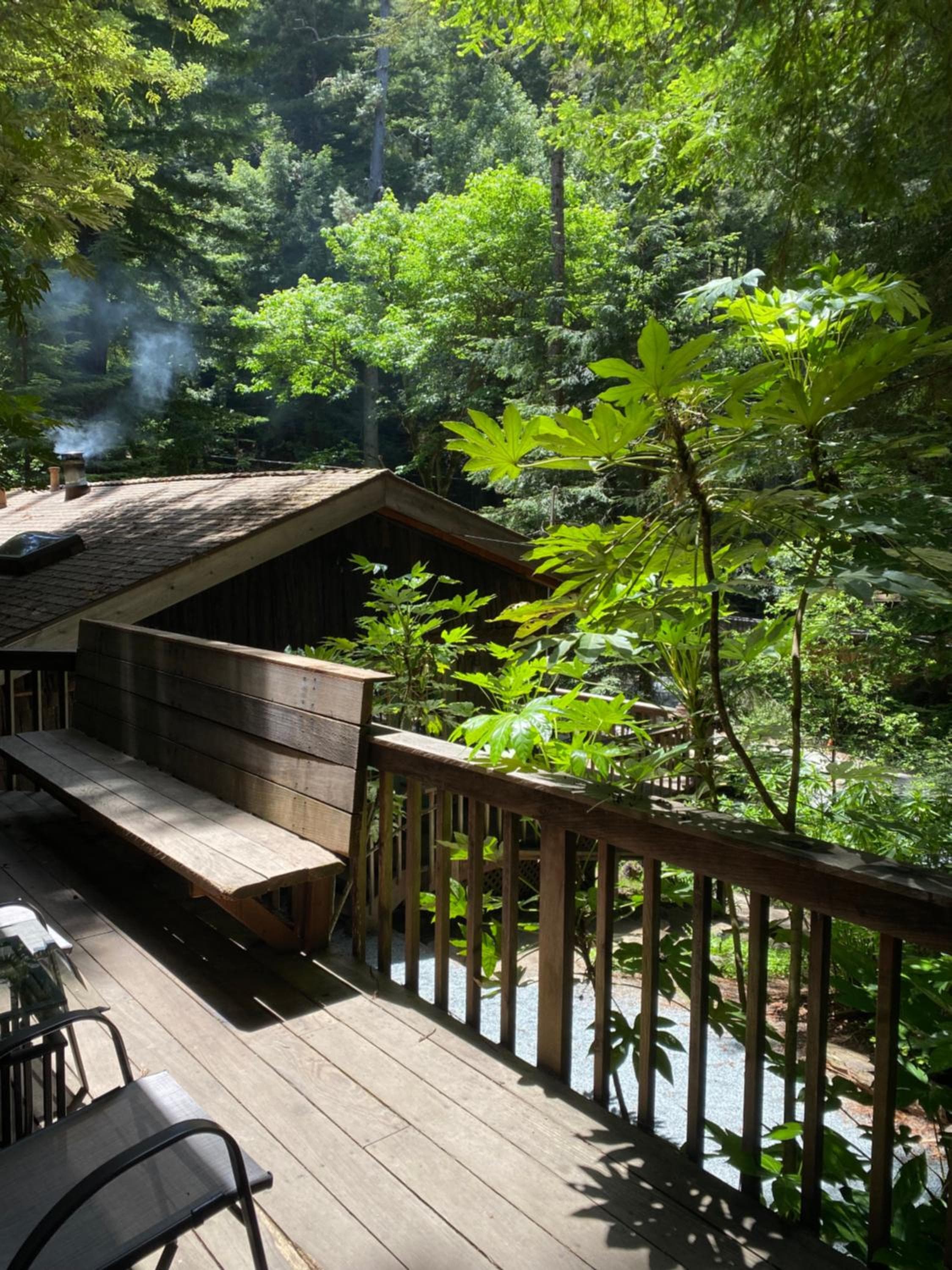 Lofted Studio Cabin in the Redwoods!
