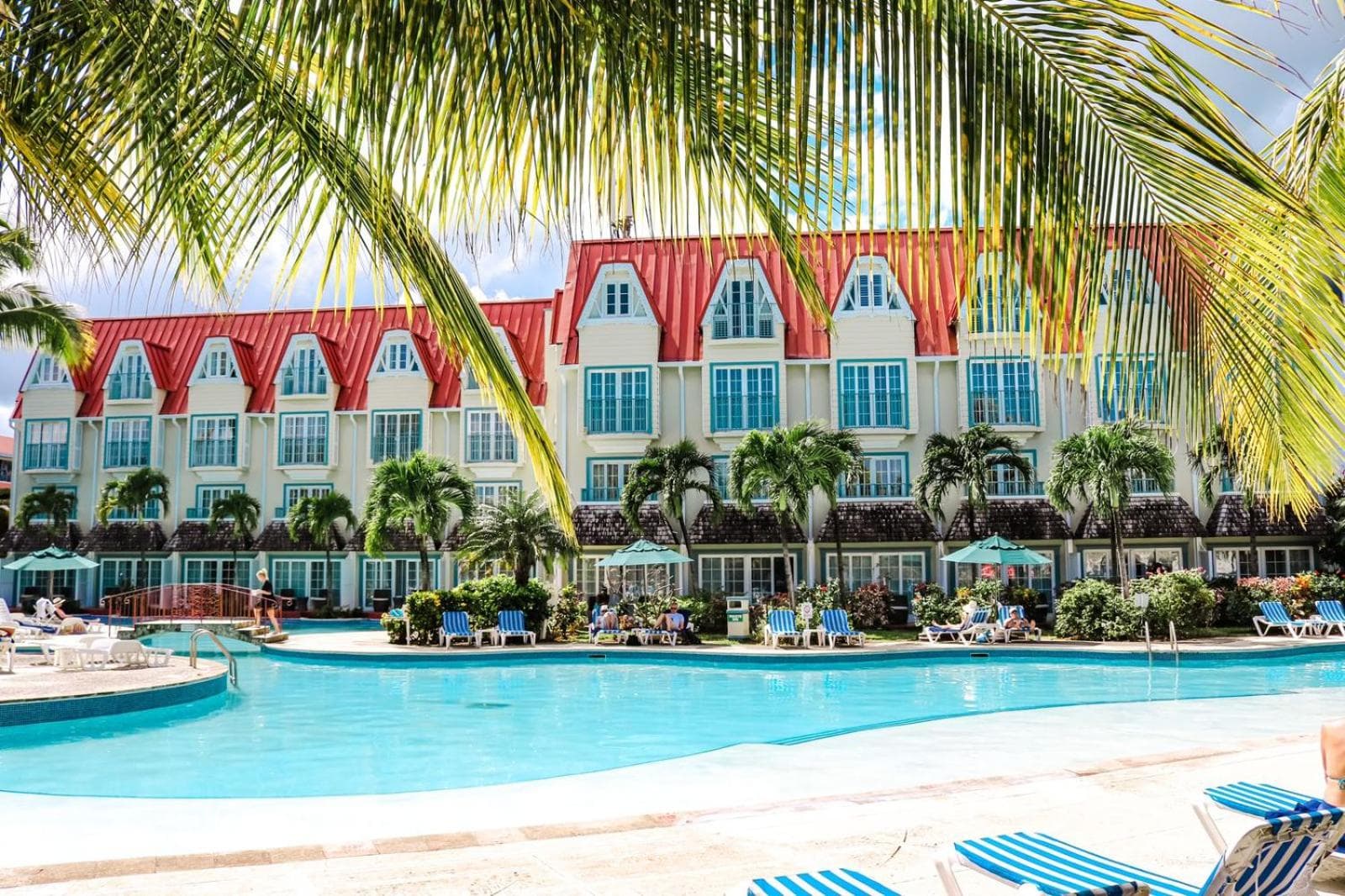 Coco Palm