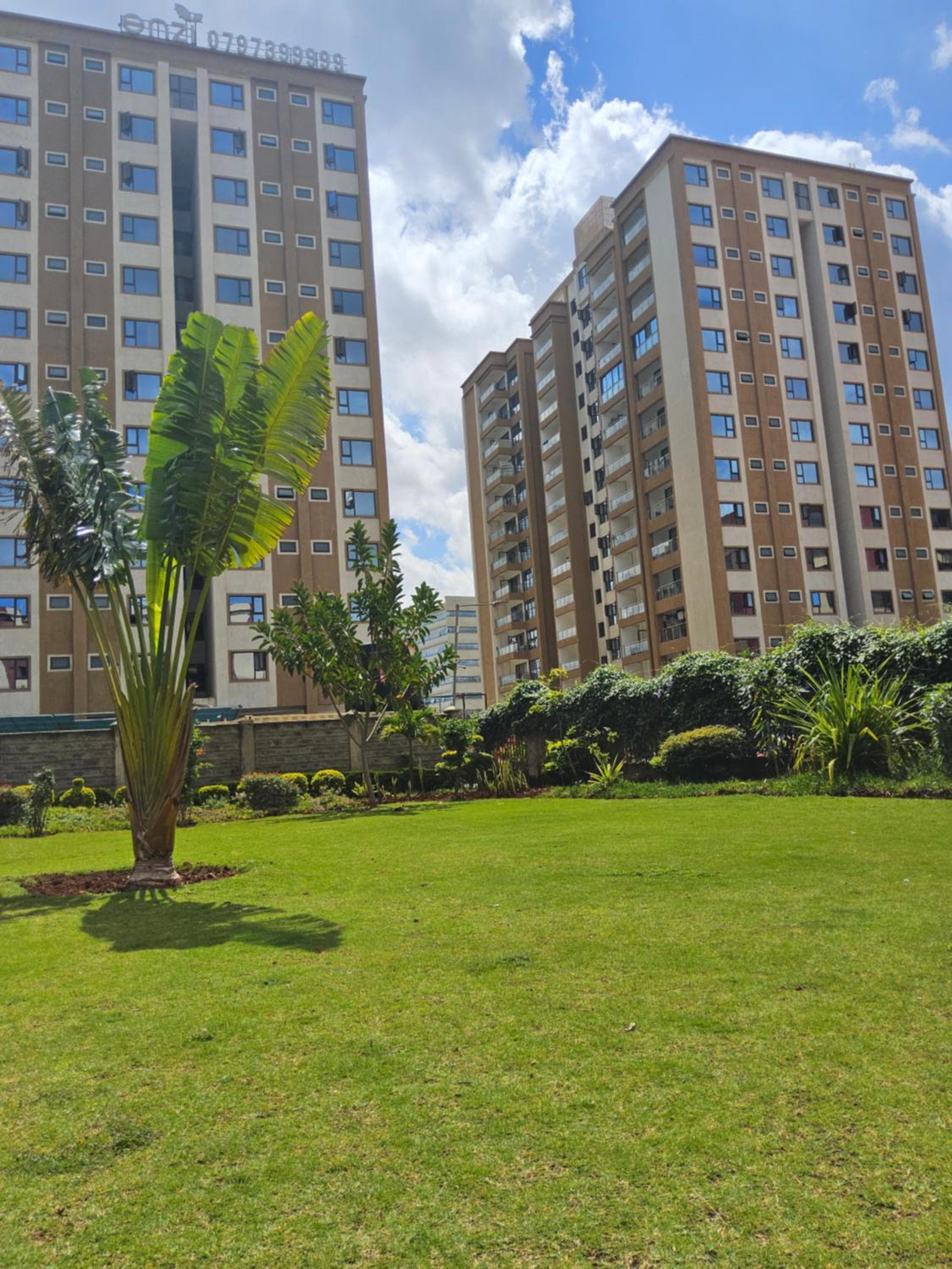 Jsons enzi heights