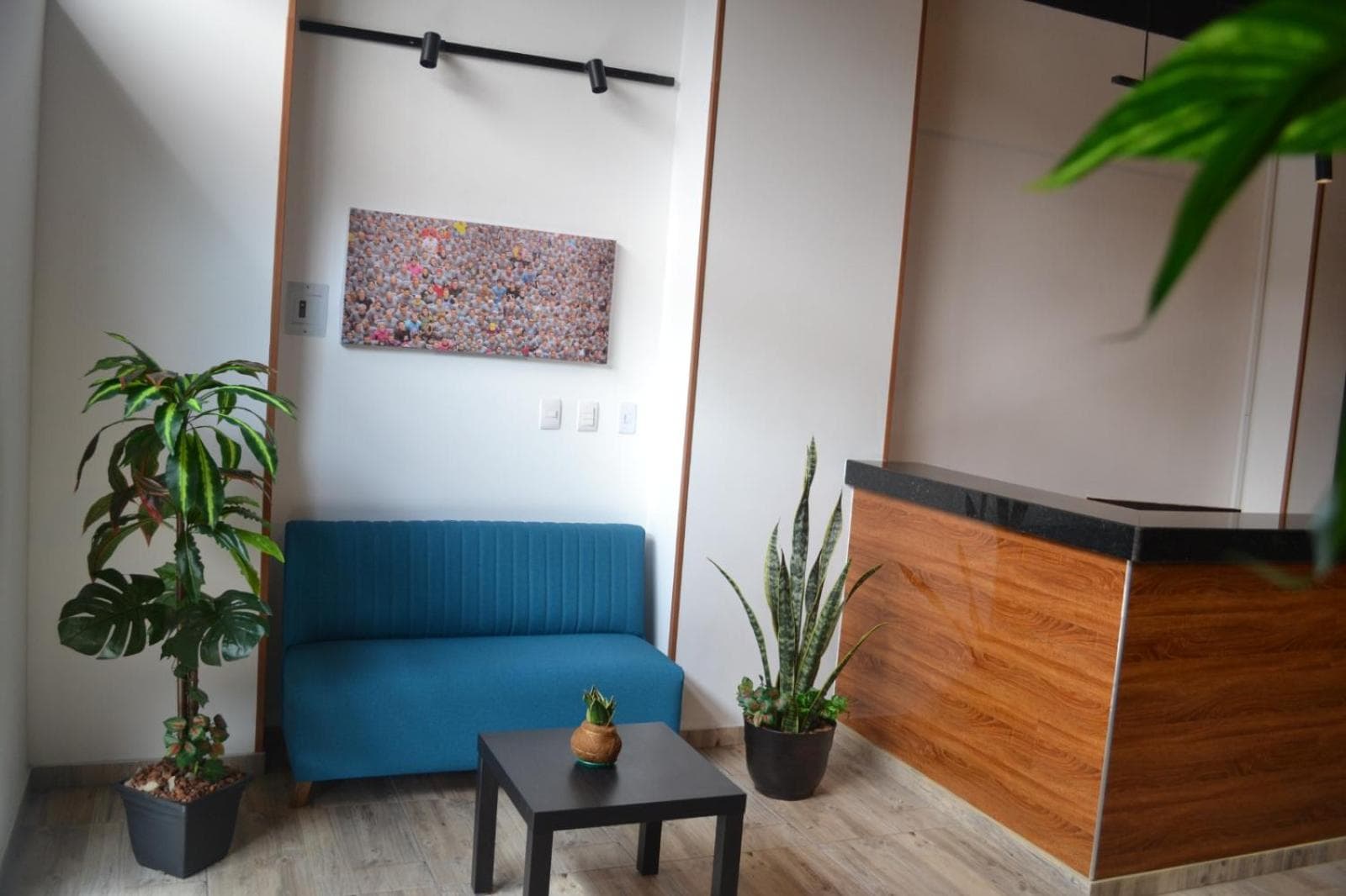 BOG Living Suites