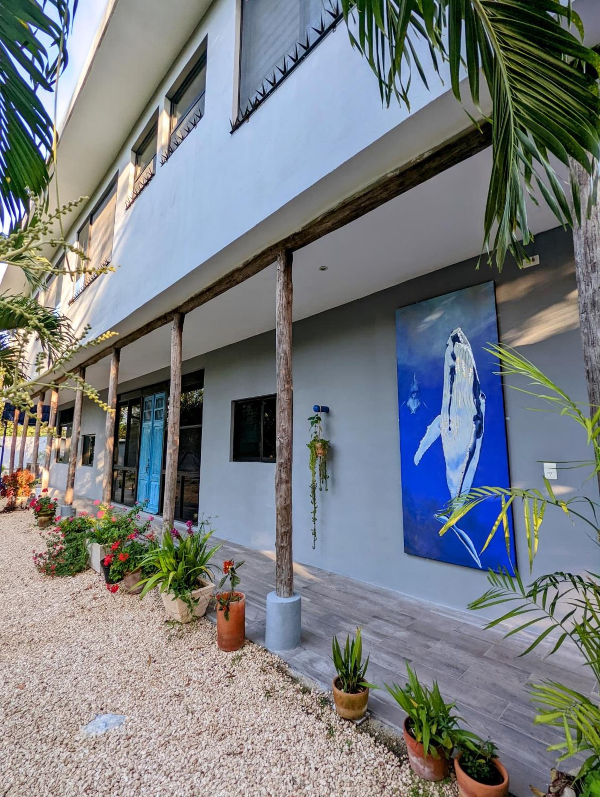 The Blue Eco Lodge