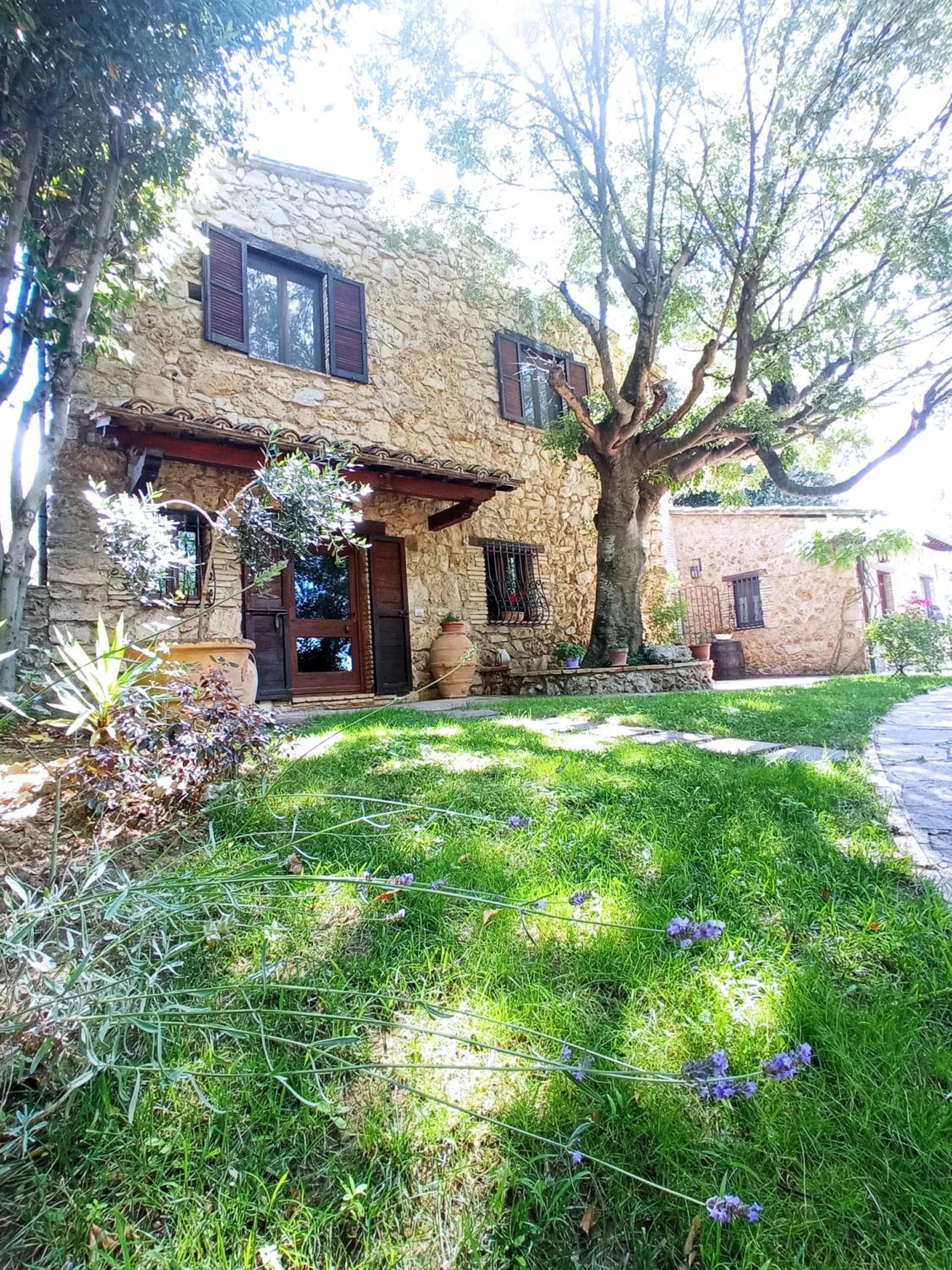 All'Ombra di San Damiano