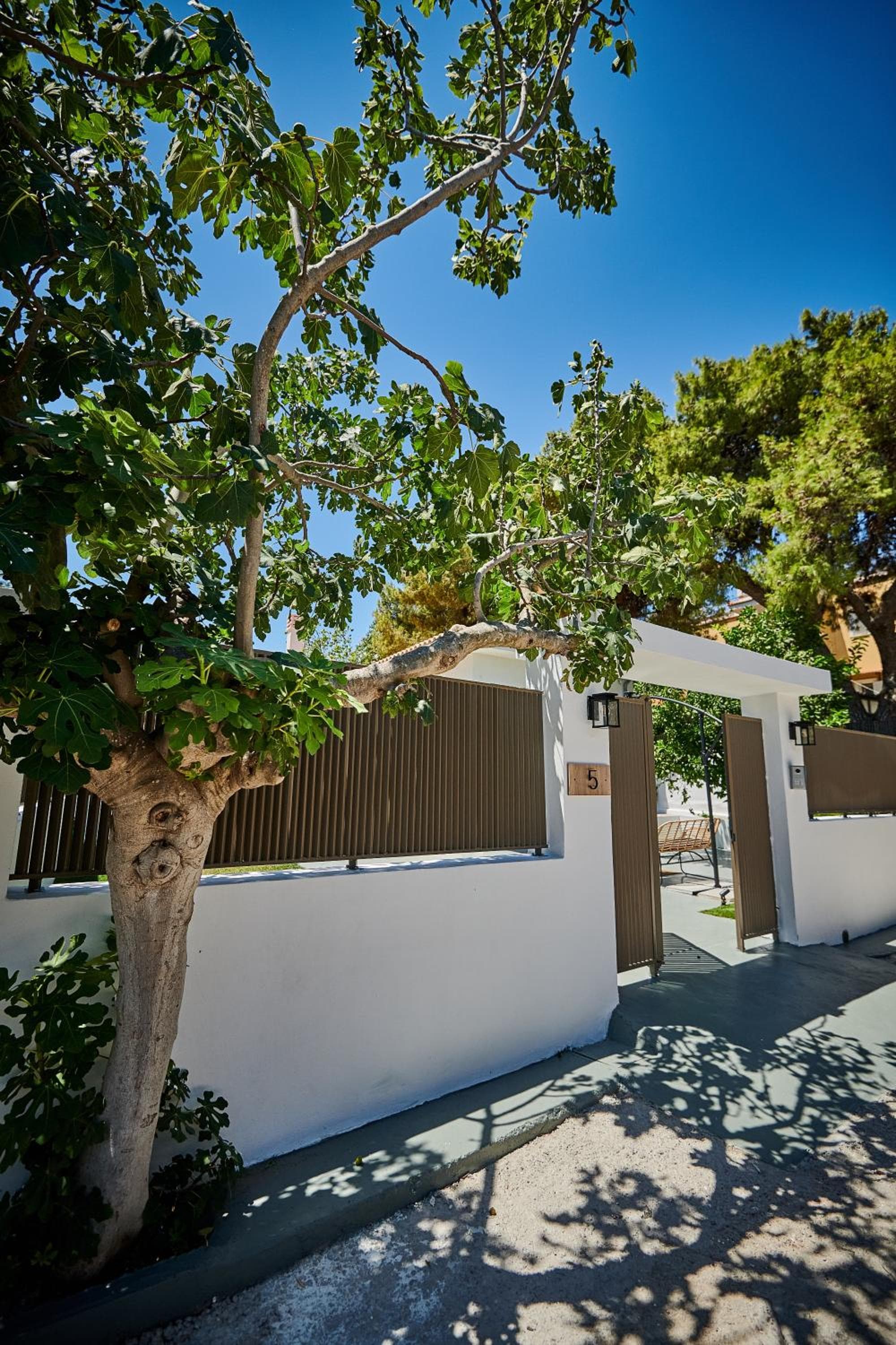 The lemon house