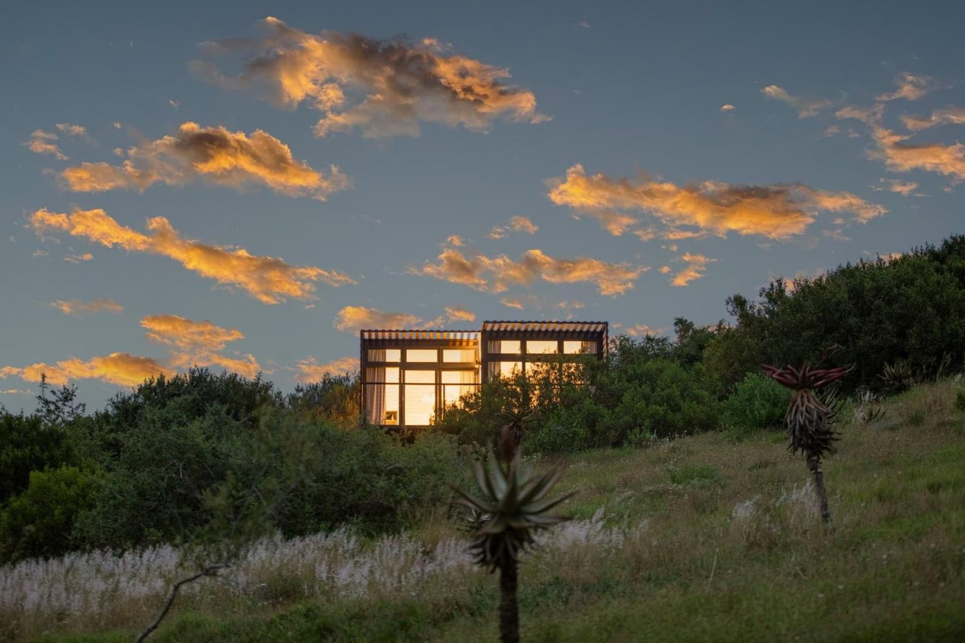 Nyosi Wildlife Reserve