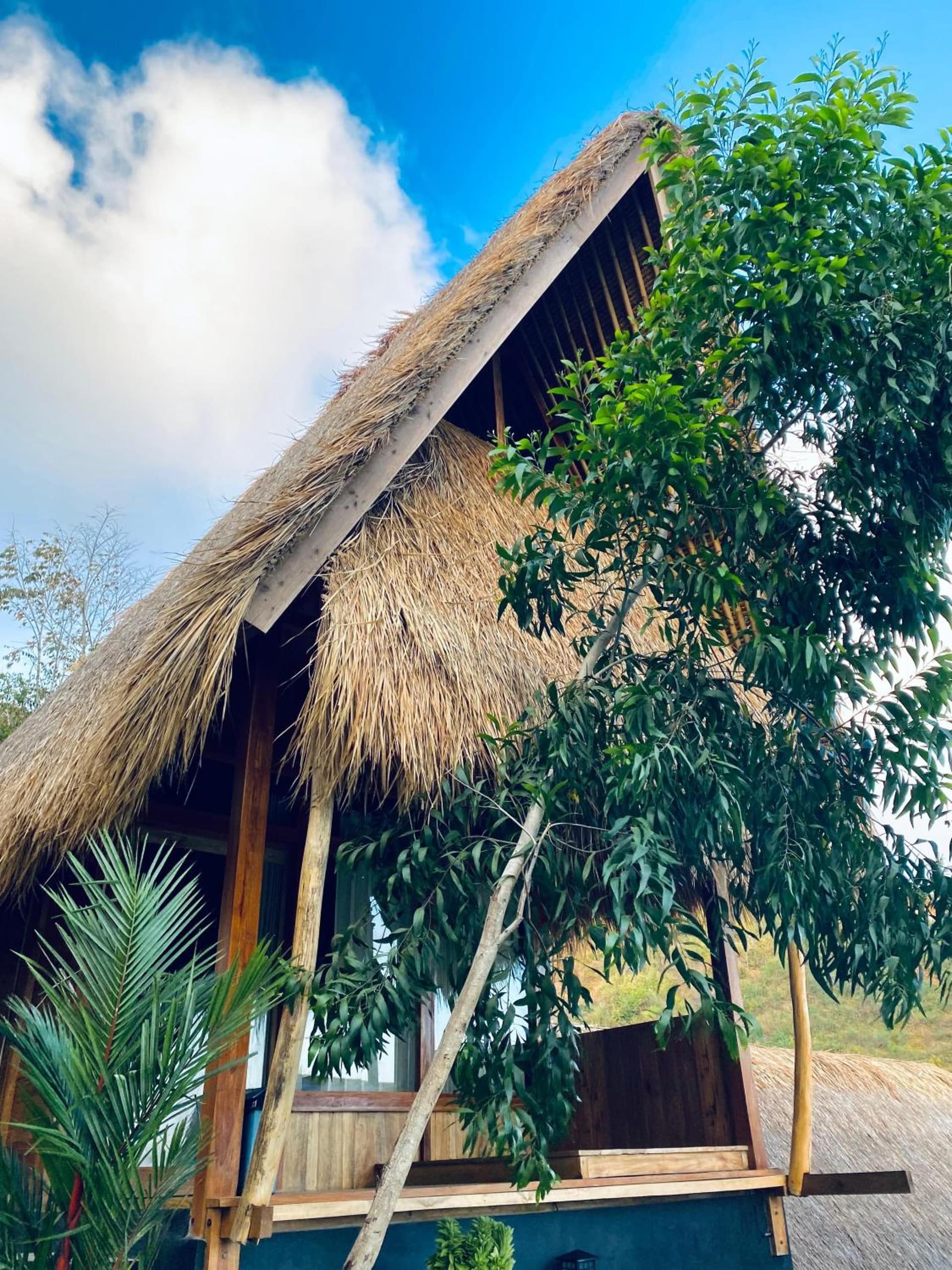 Palm Green Hotel