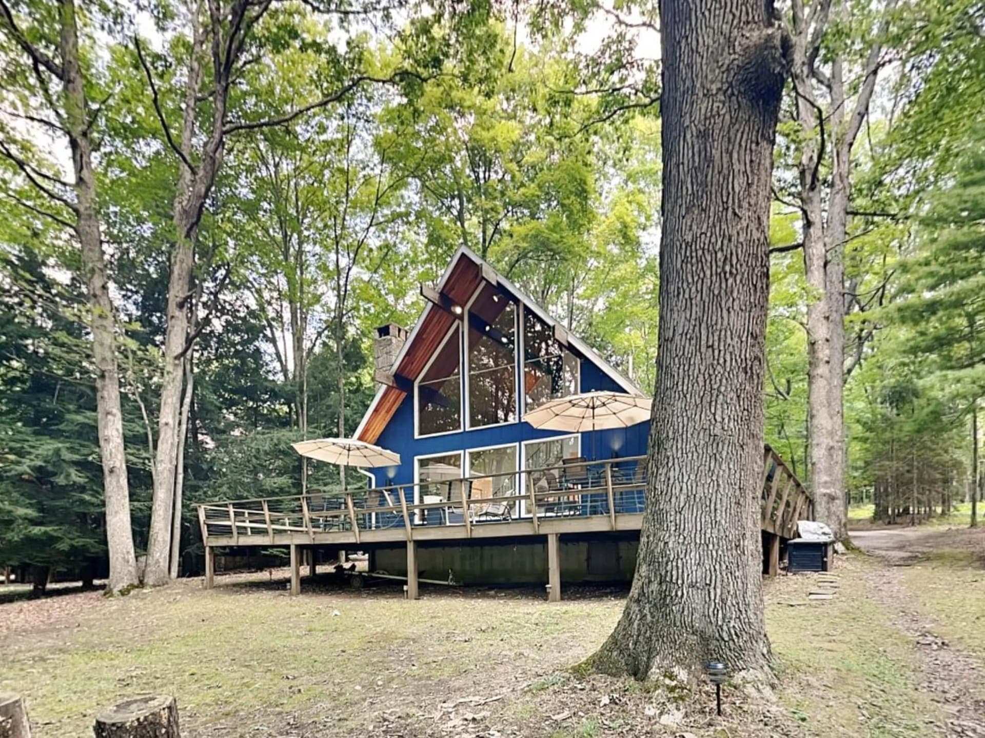 Mountain Freedom