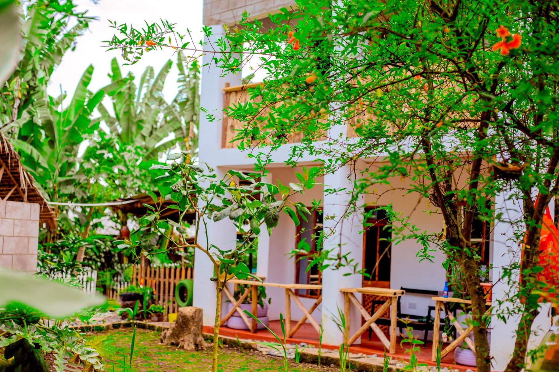 Arusha Jua Eco Home- on coffee farm