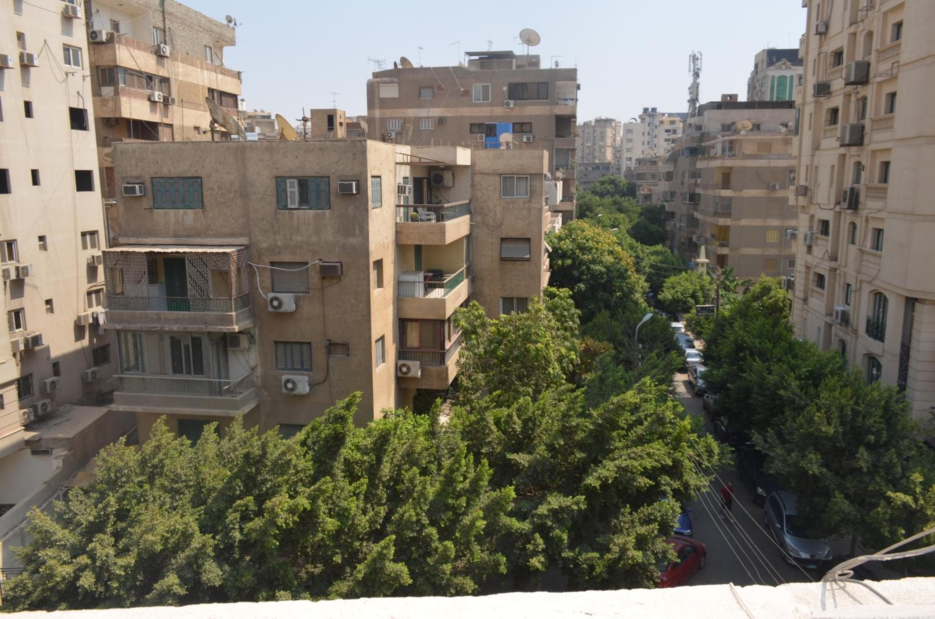 Sunny Oasis 1BR Apartment near Cairo Airport - A Luxurious Retreat