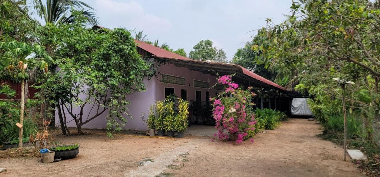 The Purple House