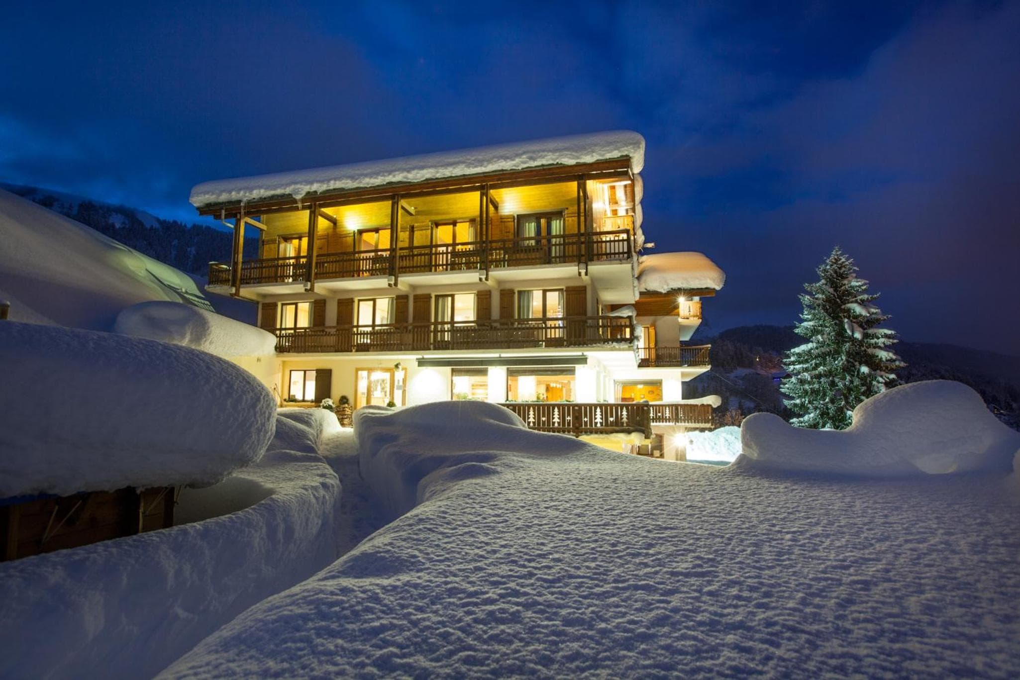Chalet-Hôtel Les Rhodos
