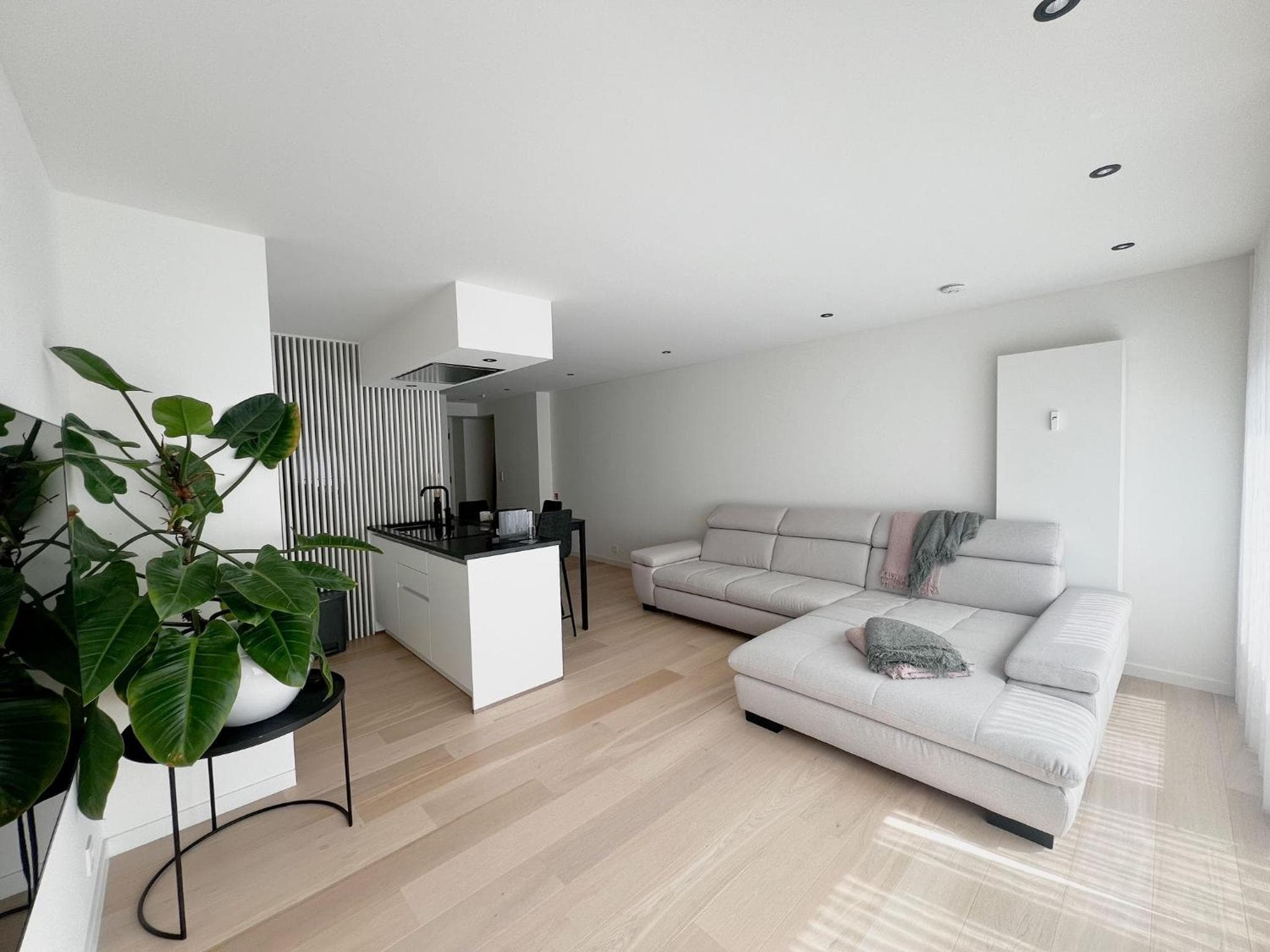 Ruime, rustige studio centrum Oostende