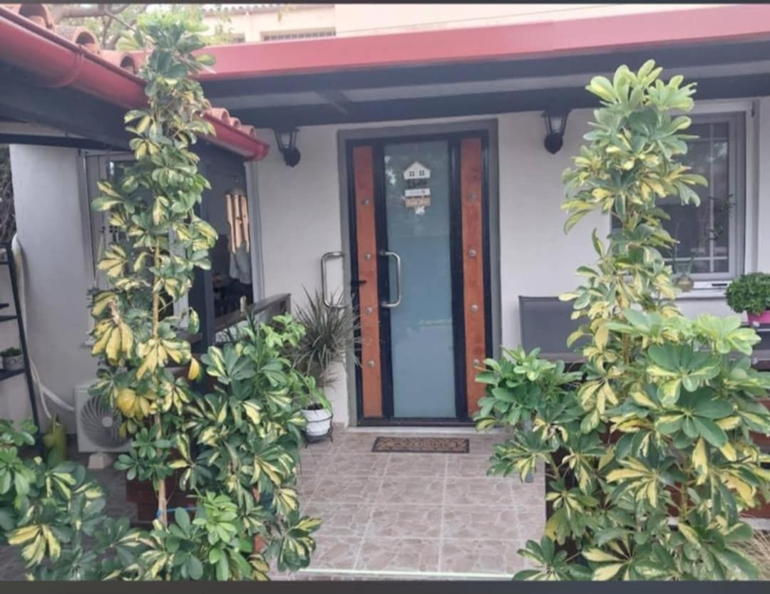 Zoe garden home