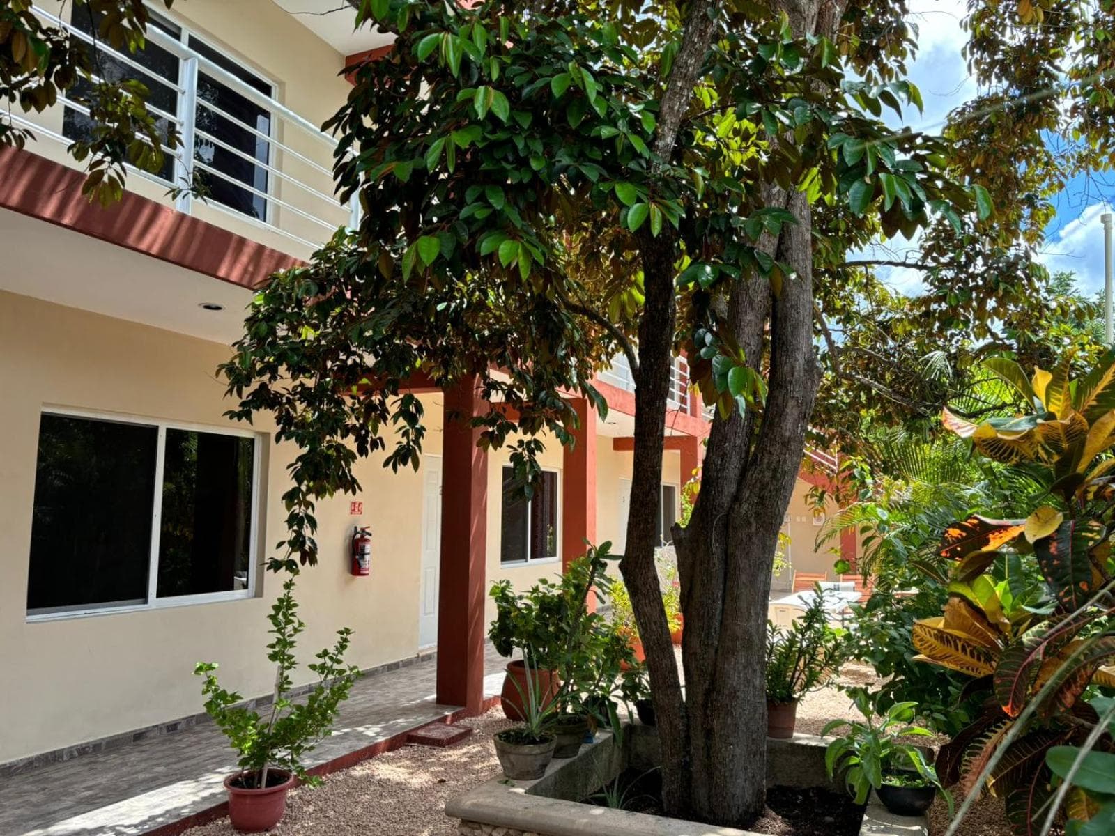 Casa del cenote