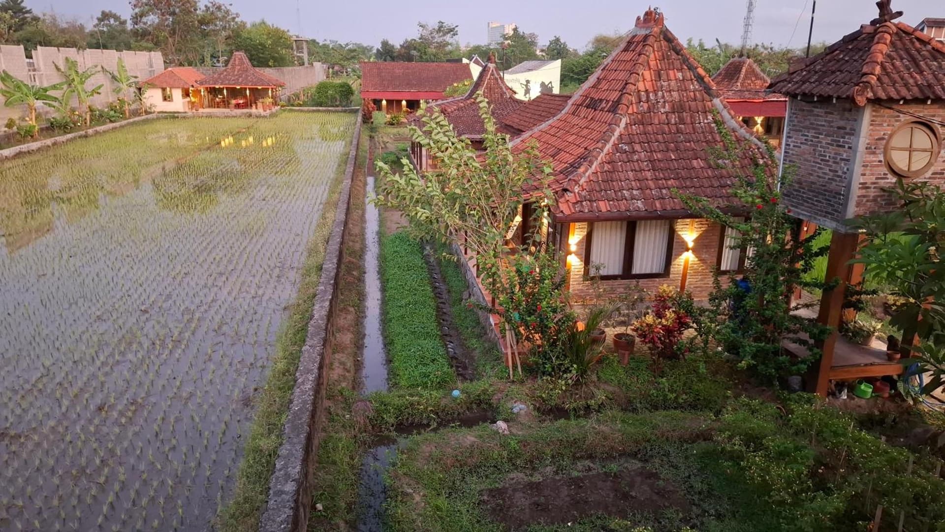 Alamanda Villas, Family Villas, Pool & Local Tours