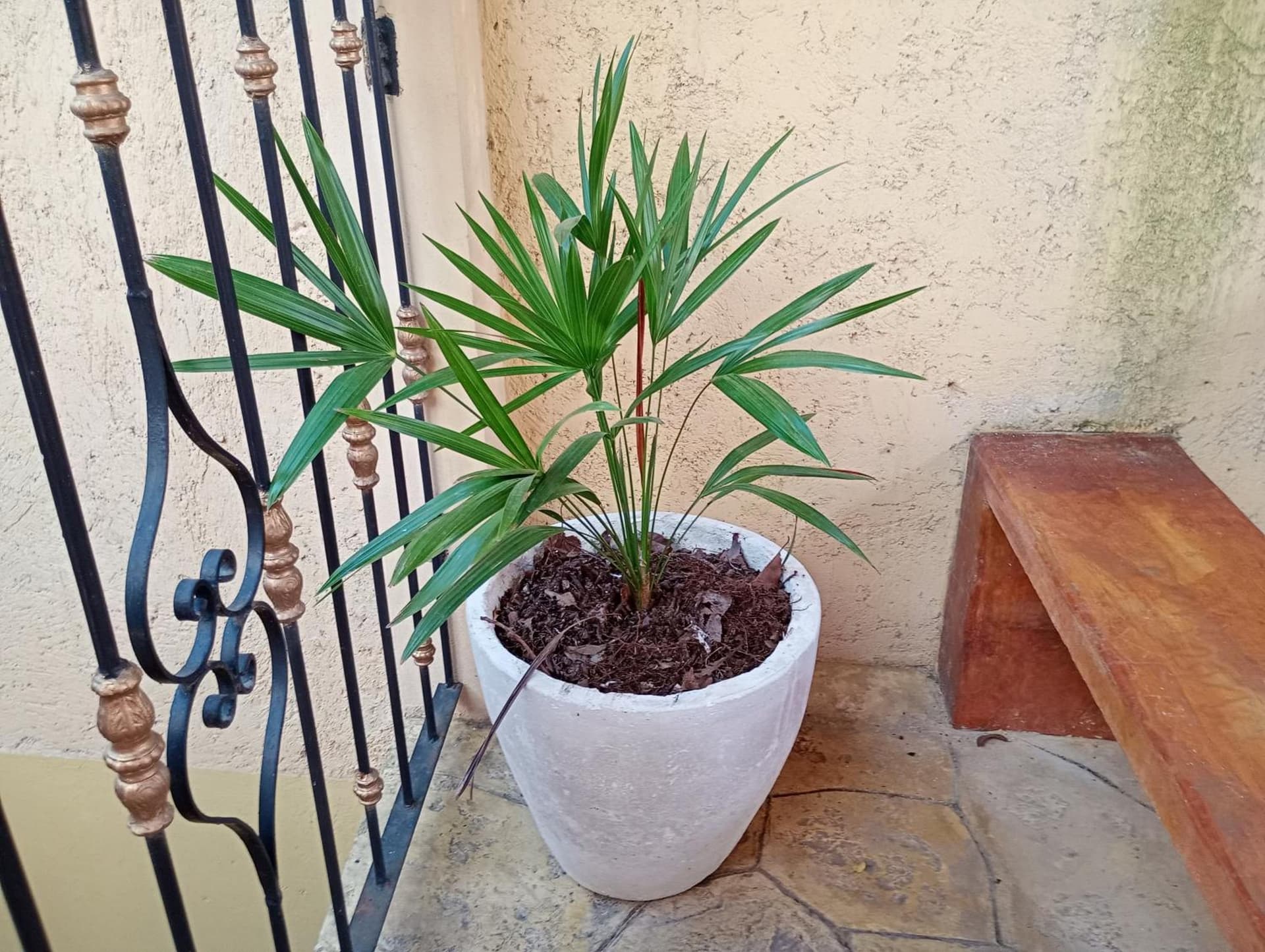Hospedaje casa Yuca