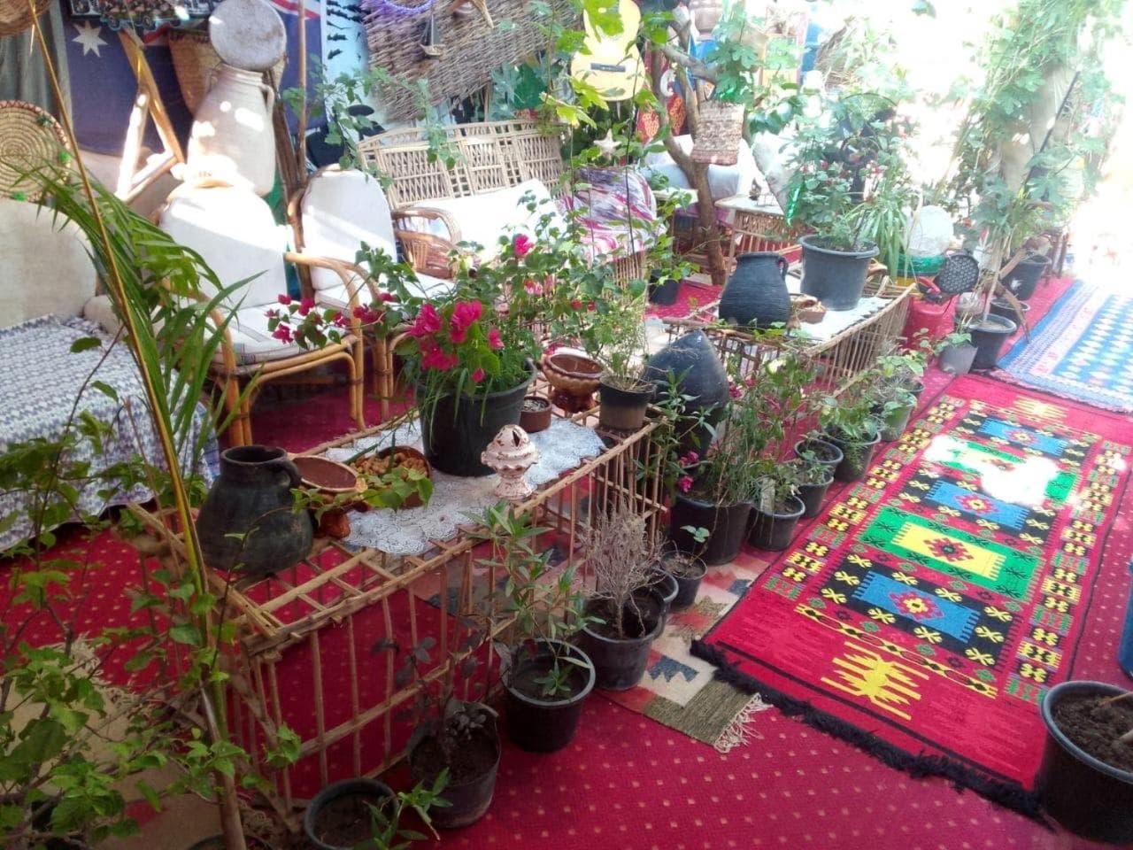 peace garden hostel & camp
