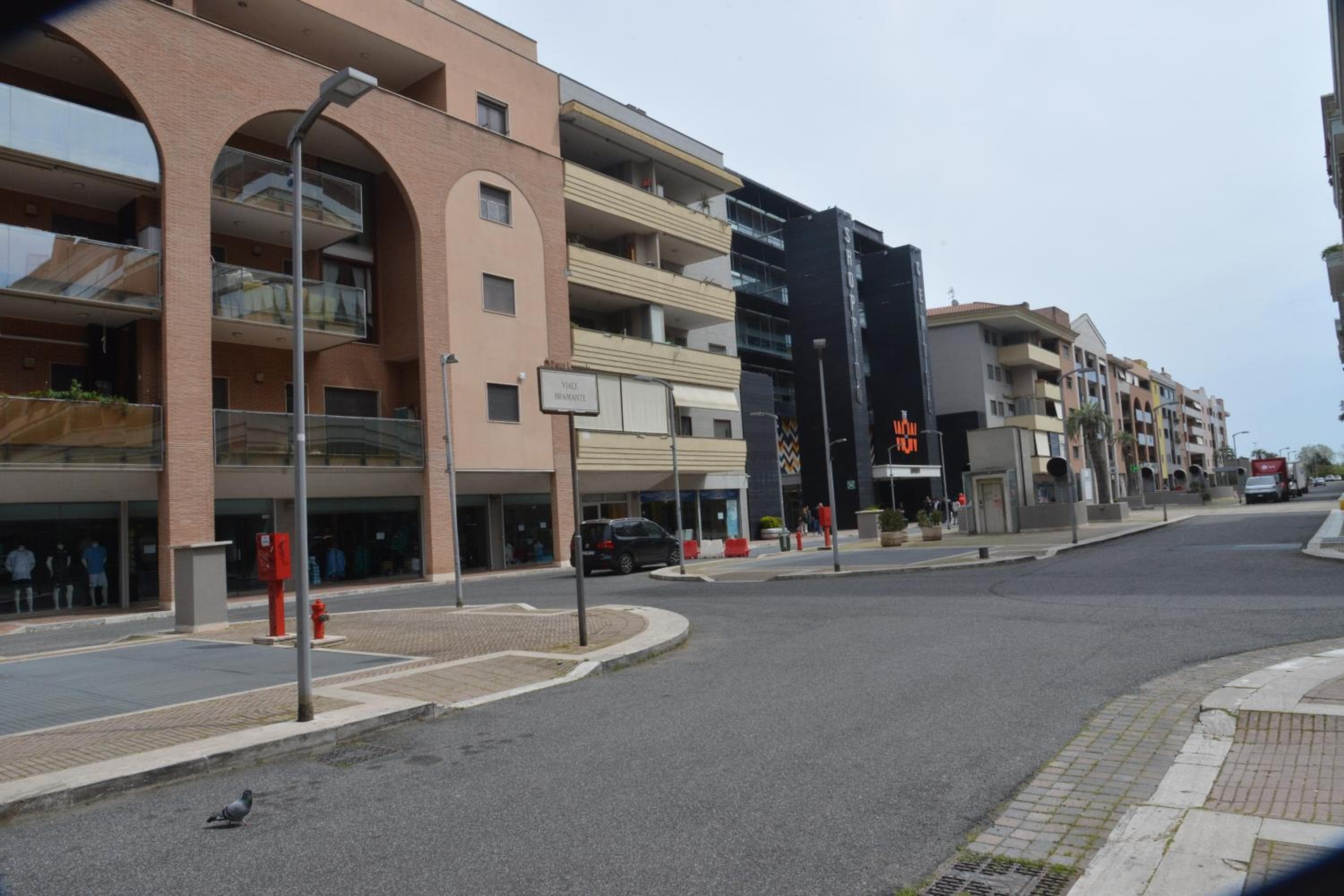 Luciana Apt - 3 min train to FCO Airport & Fiera