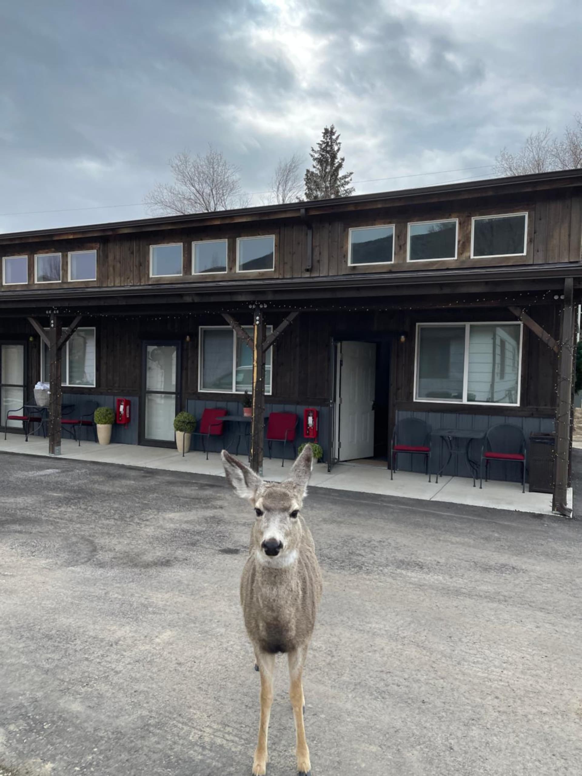 Corral Villas Yellowstone