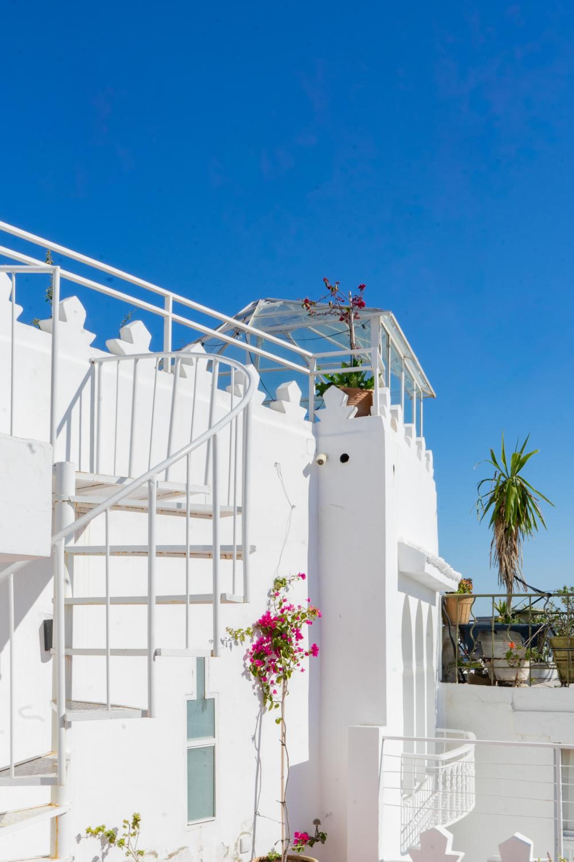 Absinthe Guest House
