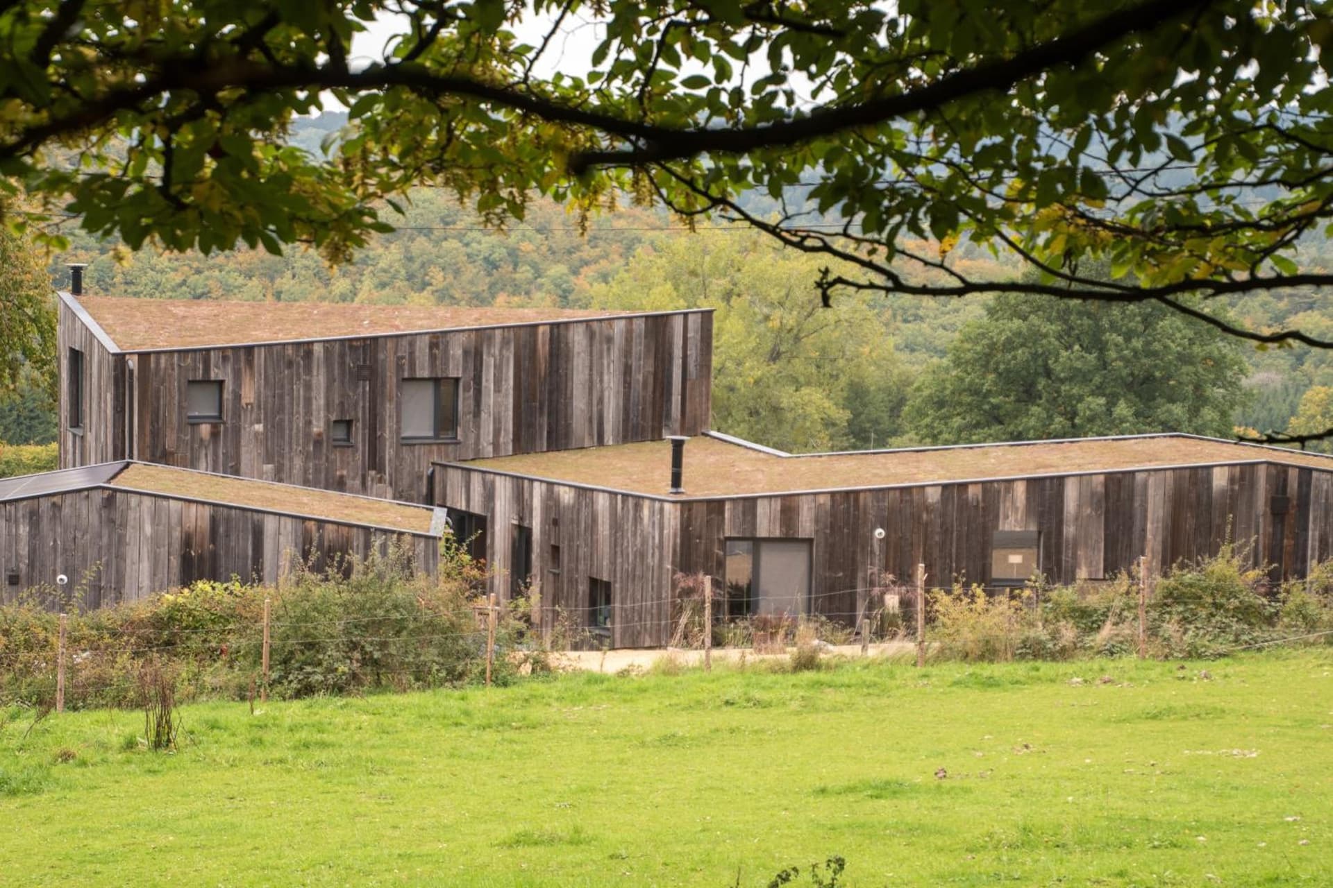 Maison d'Hôtes Cerf'titude