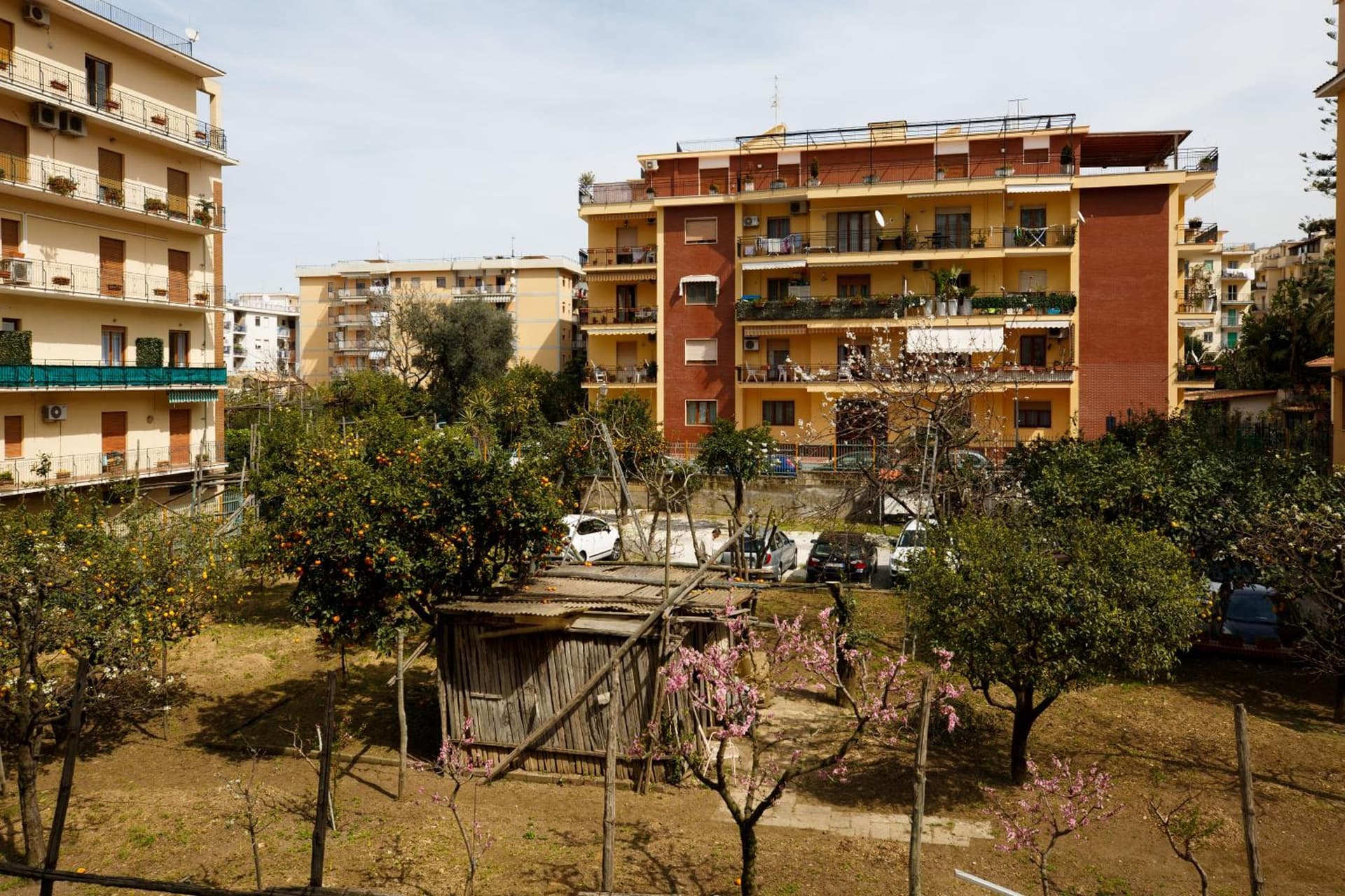 MelRose Sorrento
