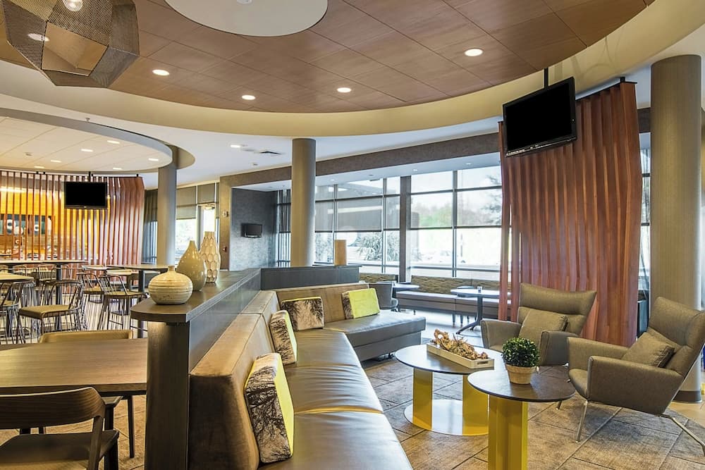SpringHill Suites by Marriott Tampa North/I 75 Tampa Palms