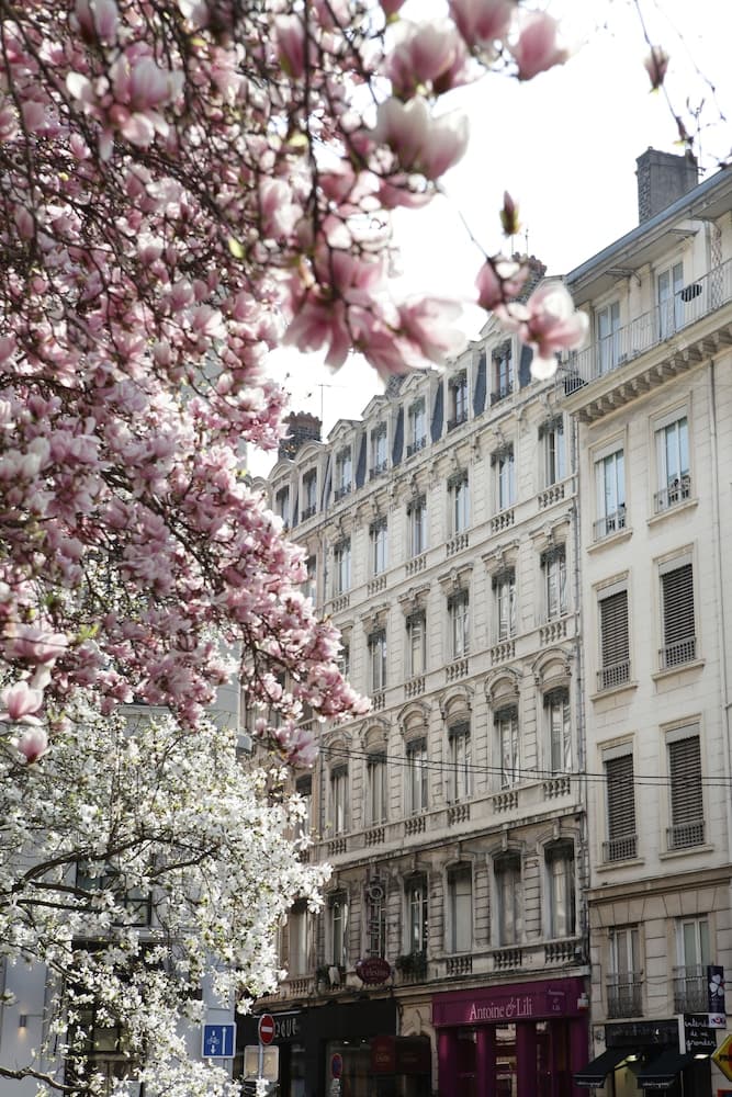 Hôtel des Célestins