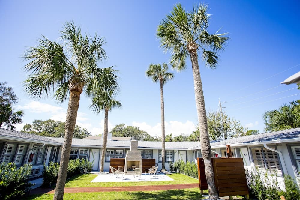 The Hotel Palms
